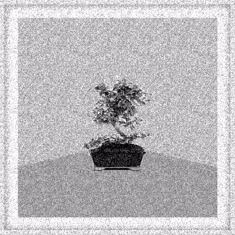 Bonsai Bonanza #882