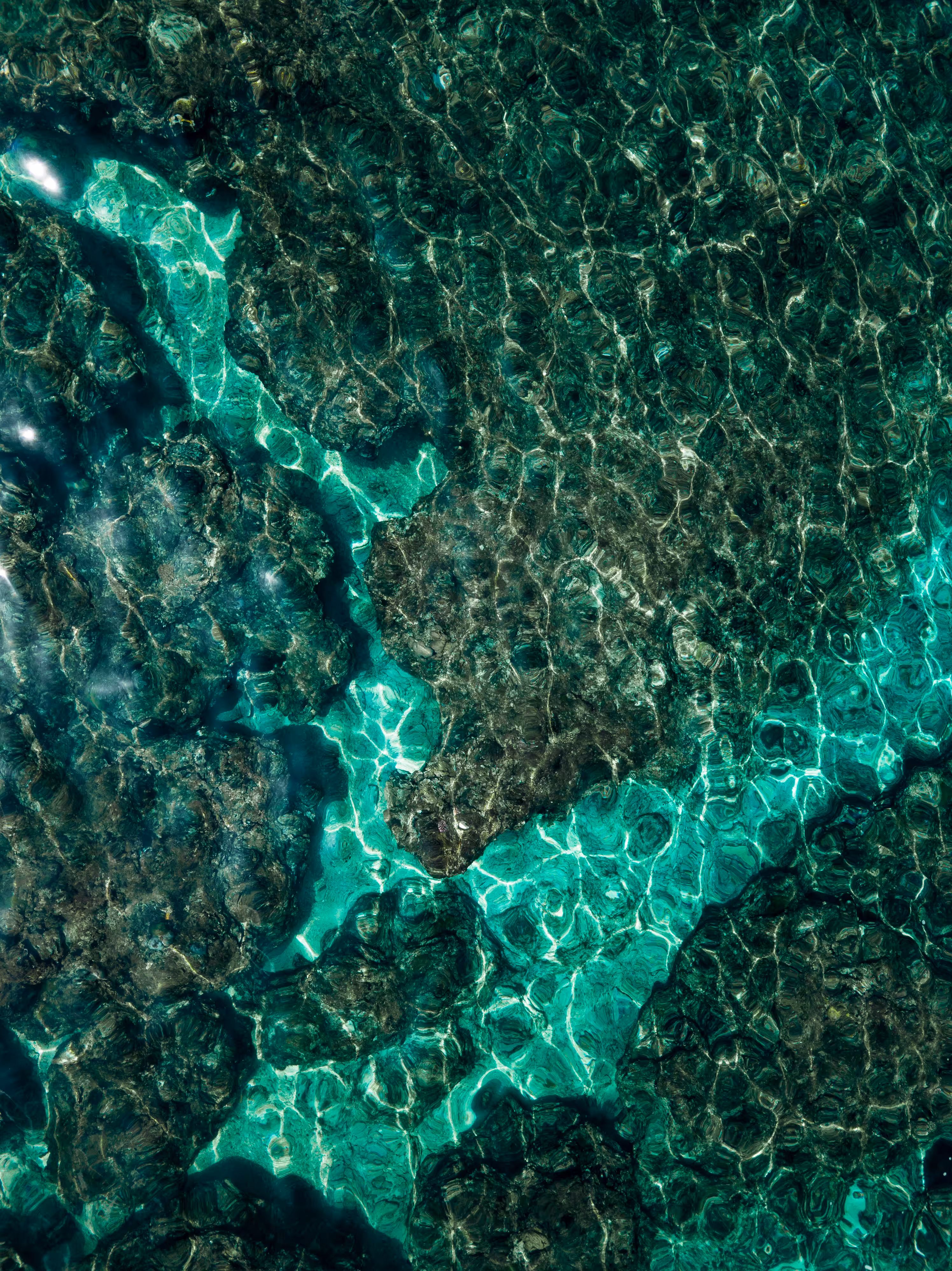 Reef