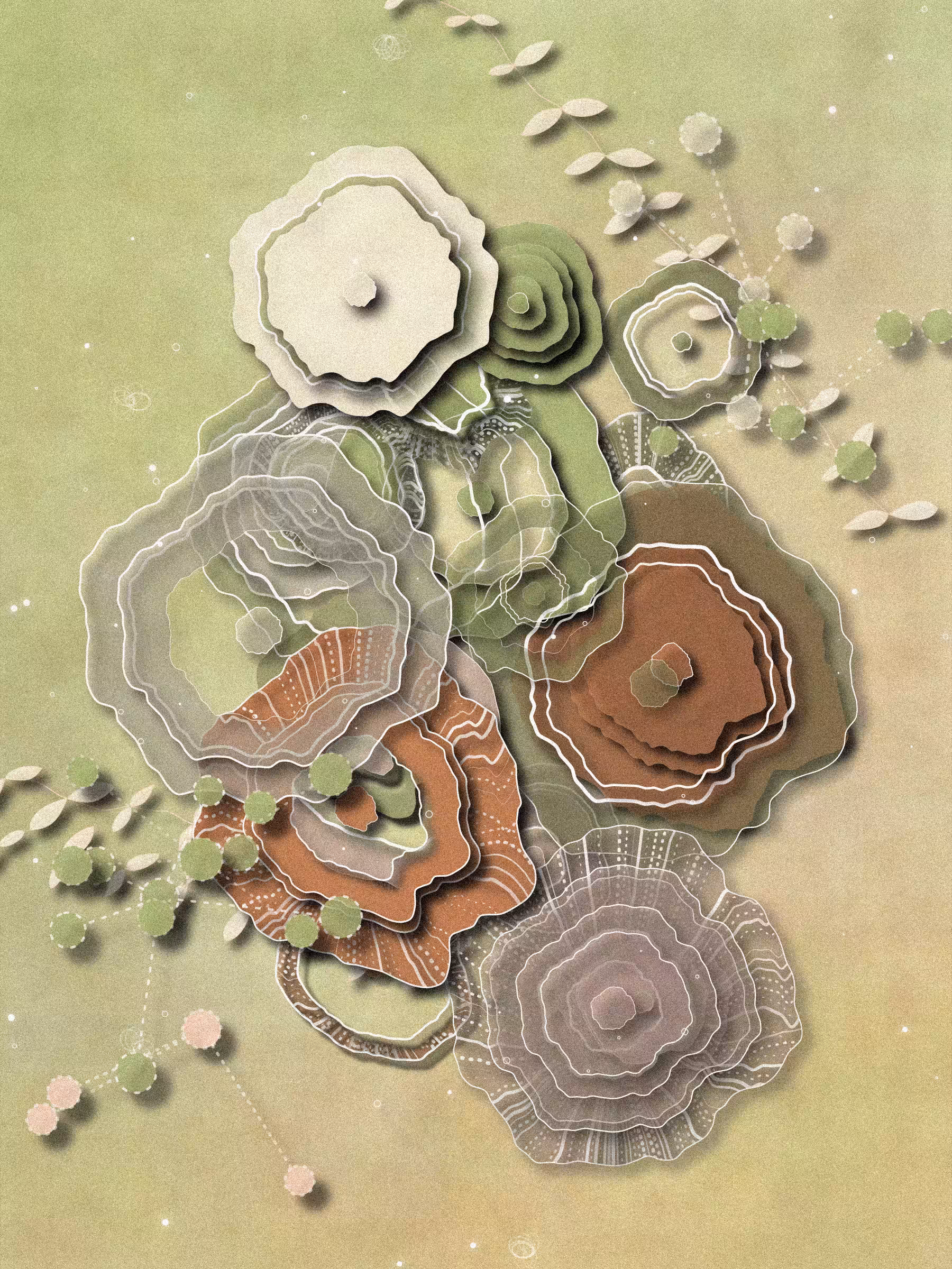 Coral #3