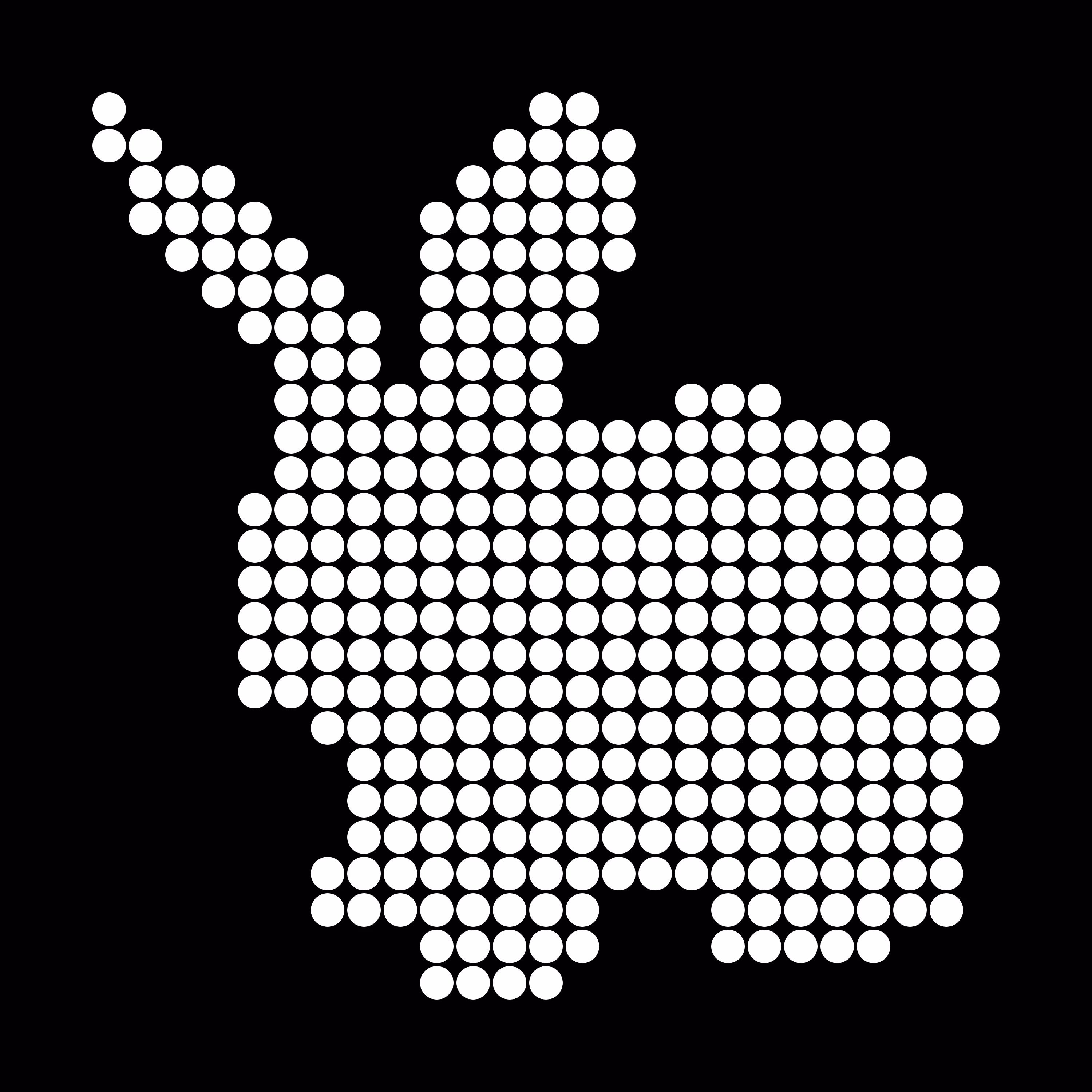Spot Bunny (Black Edition)