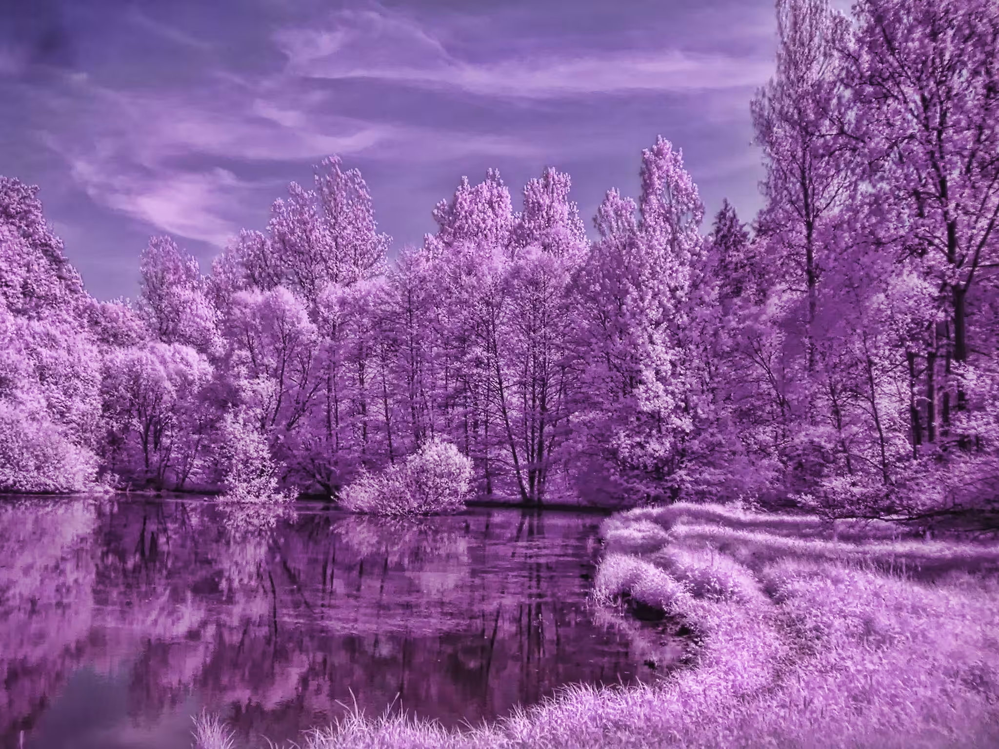 IR lake