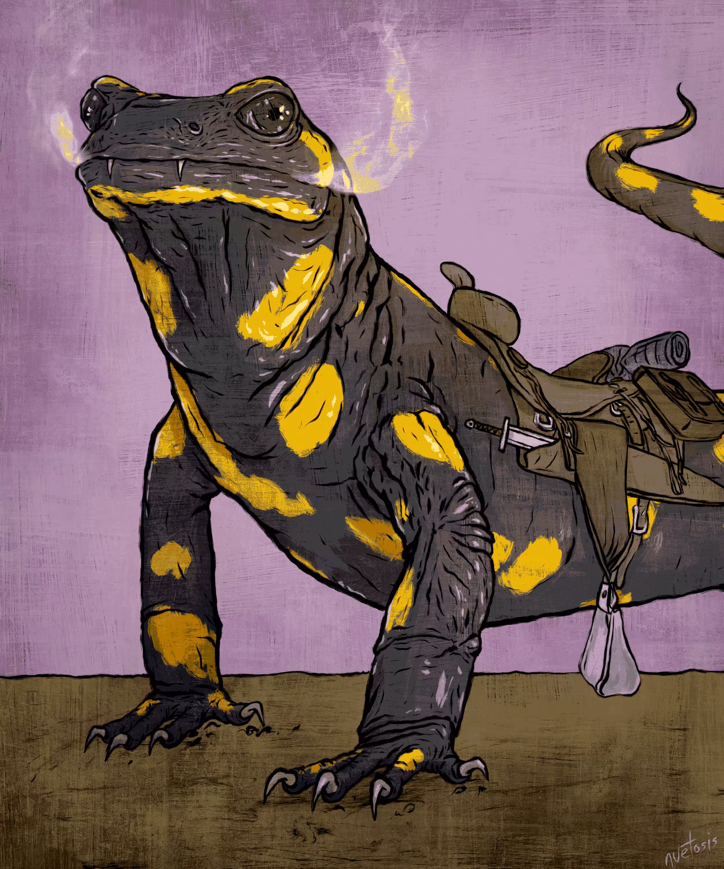 Fire Salamander 1