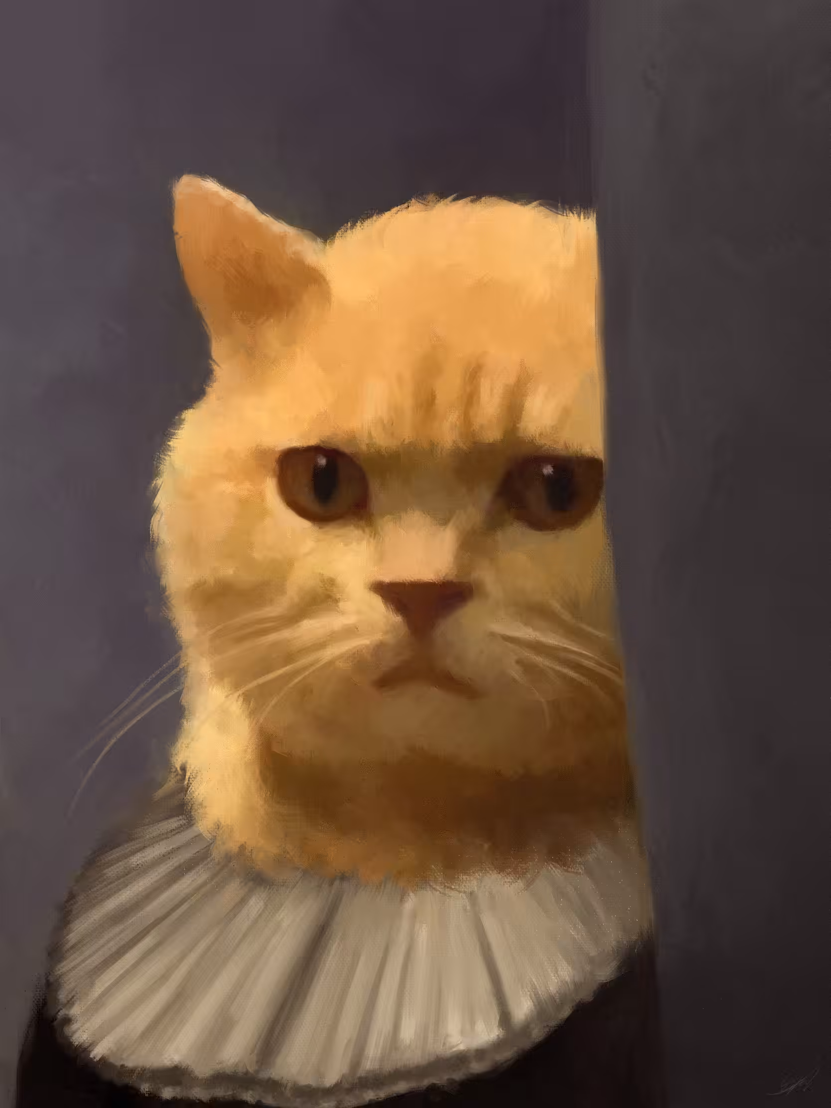 BAROKO CAT #2