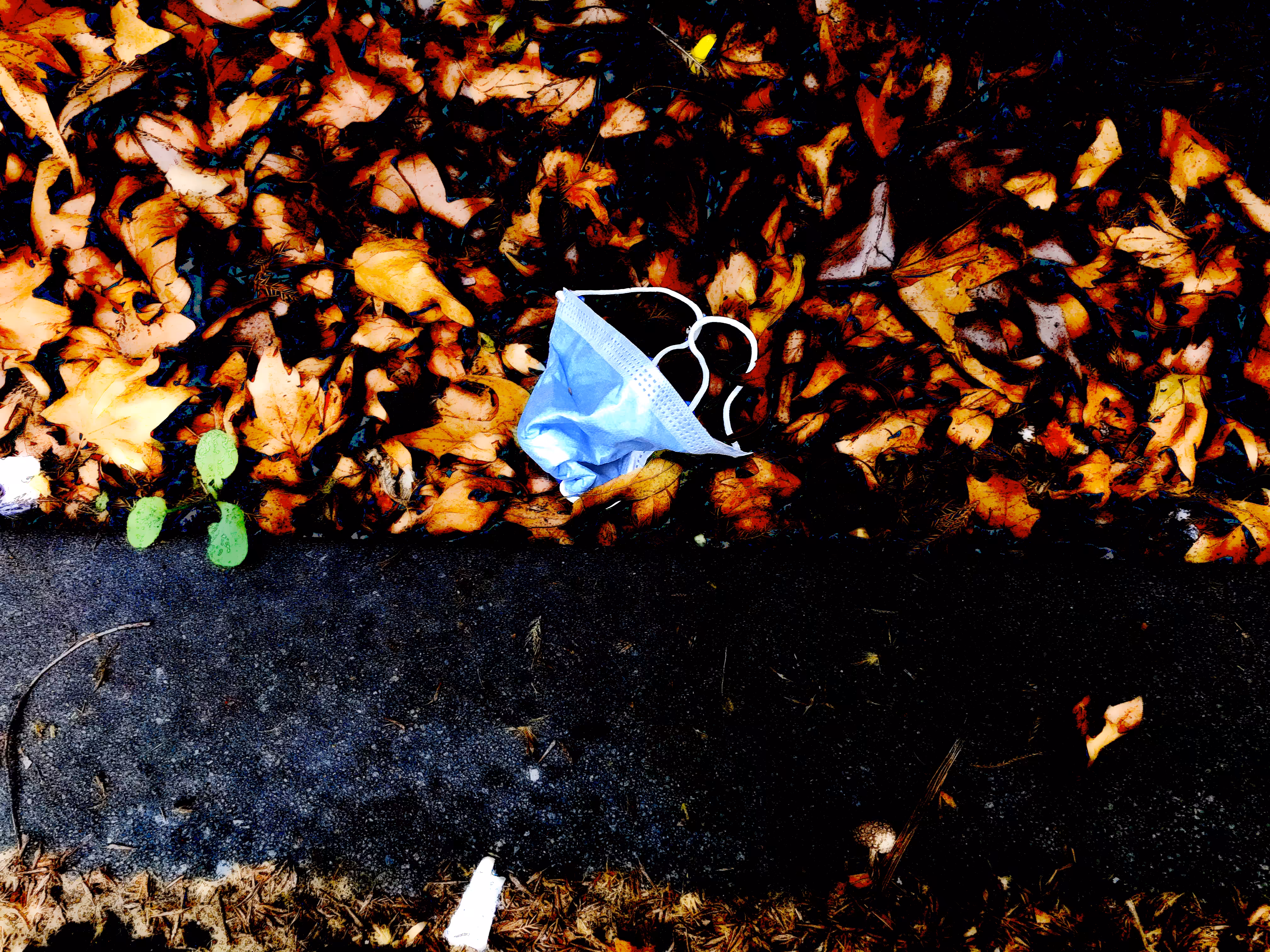 Disposable Masks - 2021-02-04 13.00.31