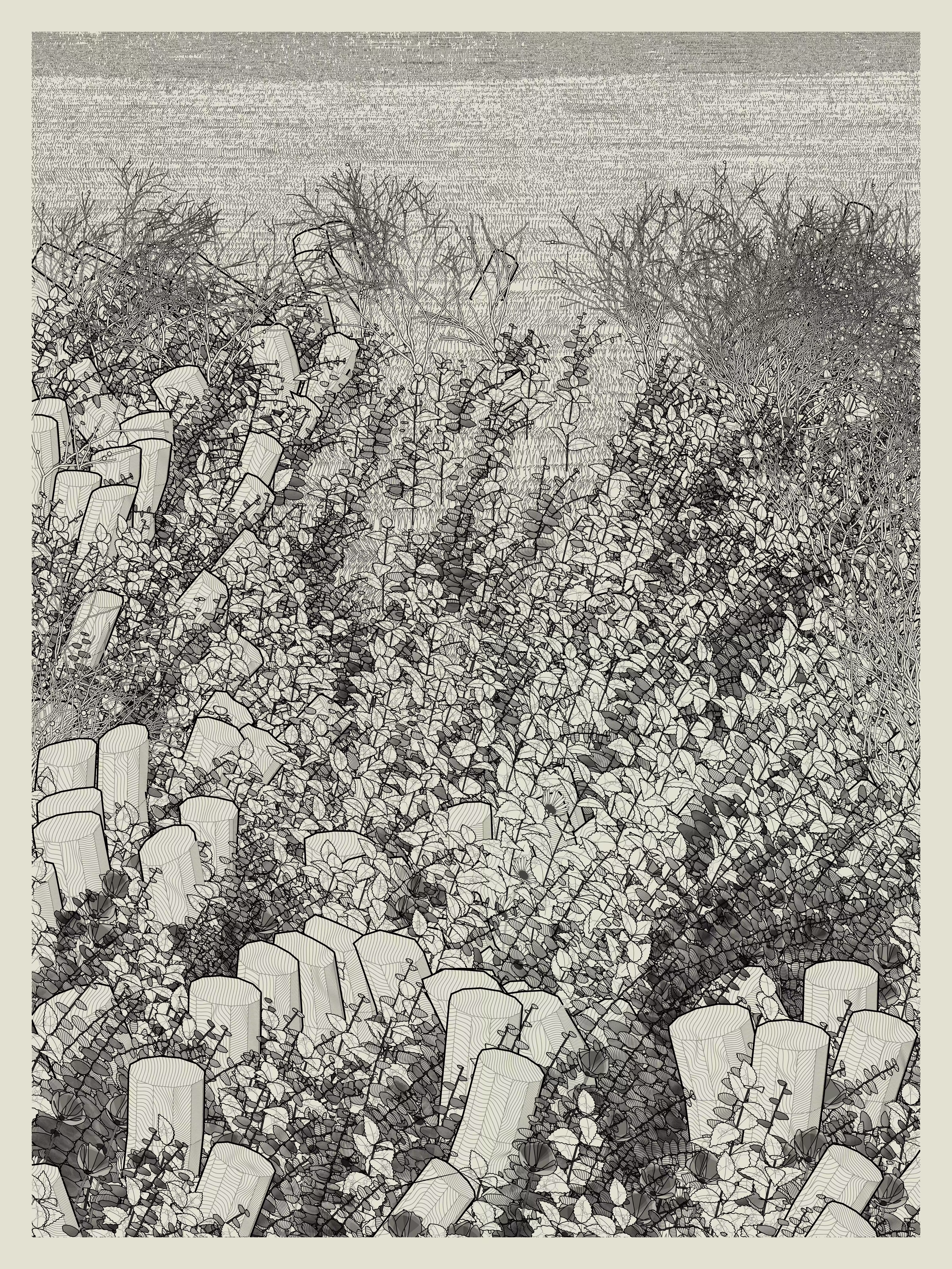 Lushtemples — A broad conversation in time
