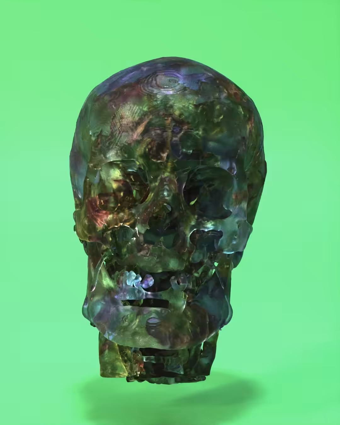 [002]_VERTEBRATE