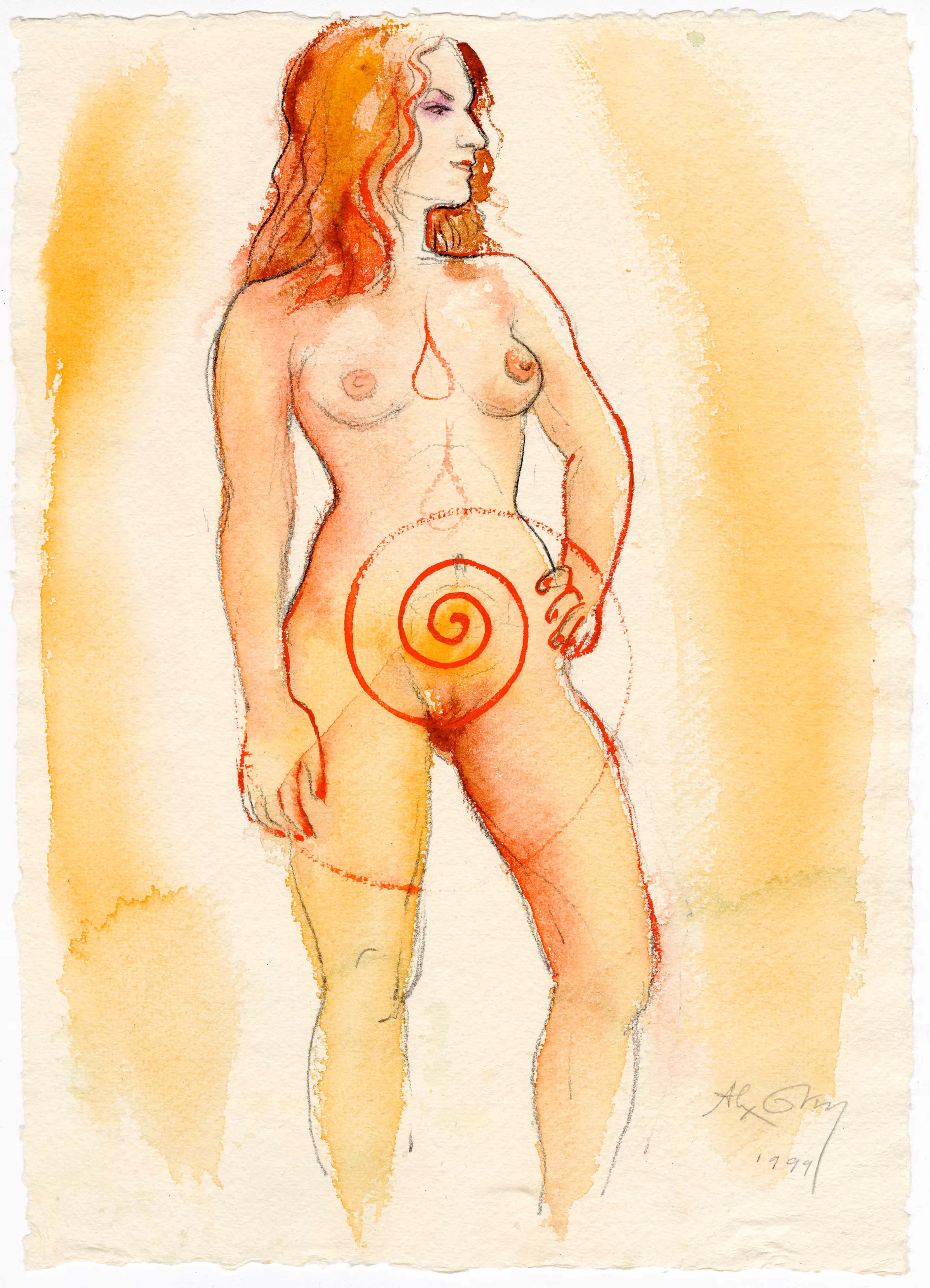 Lightbody #31