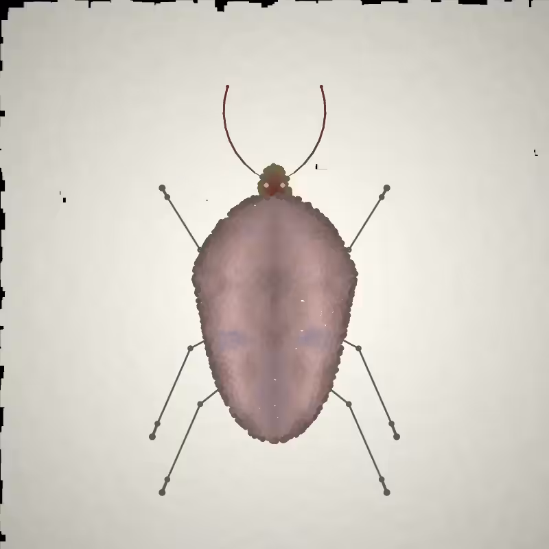 Beetle Sketches #1