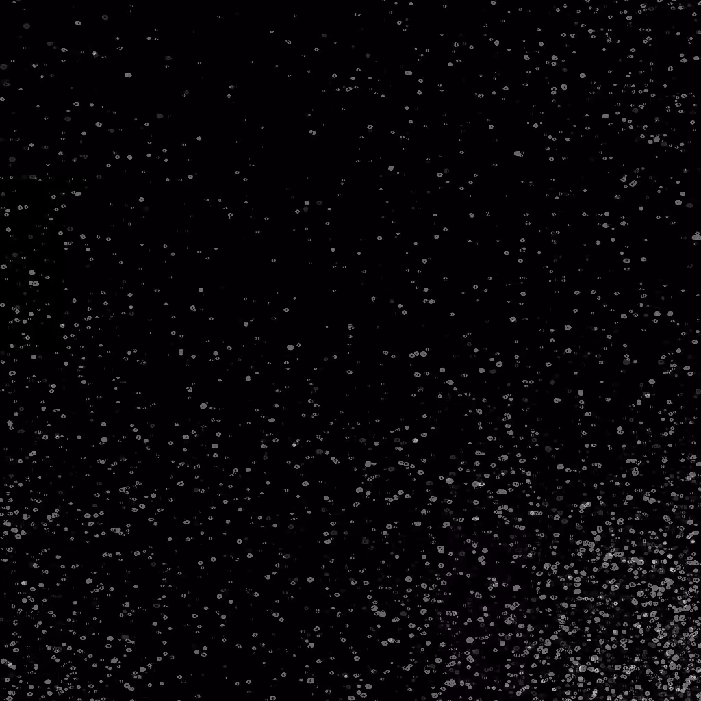 Noise #342 