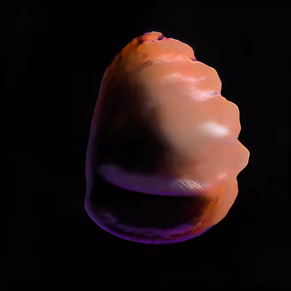 The embryo of the sphere. V002