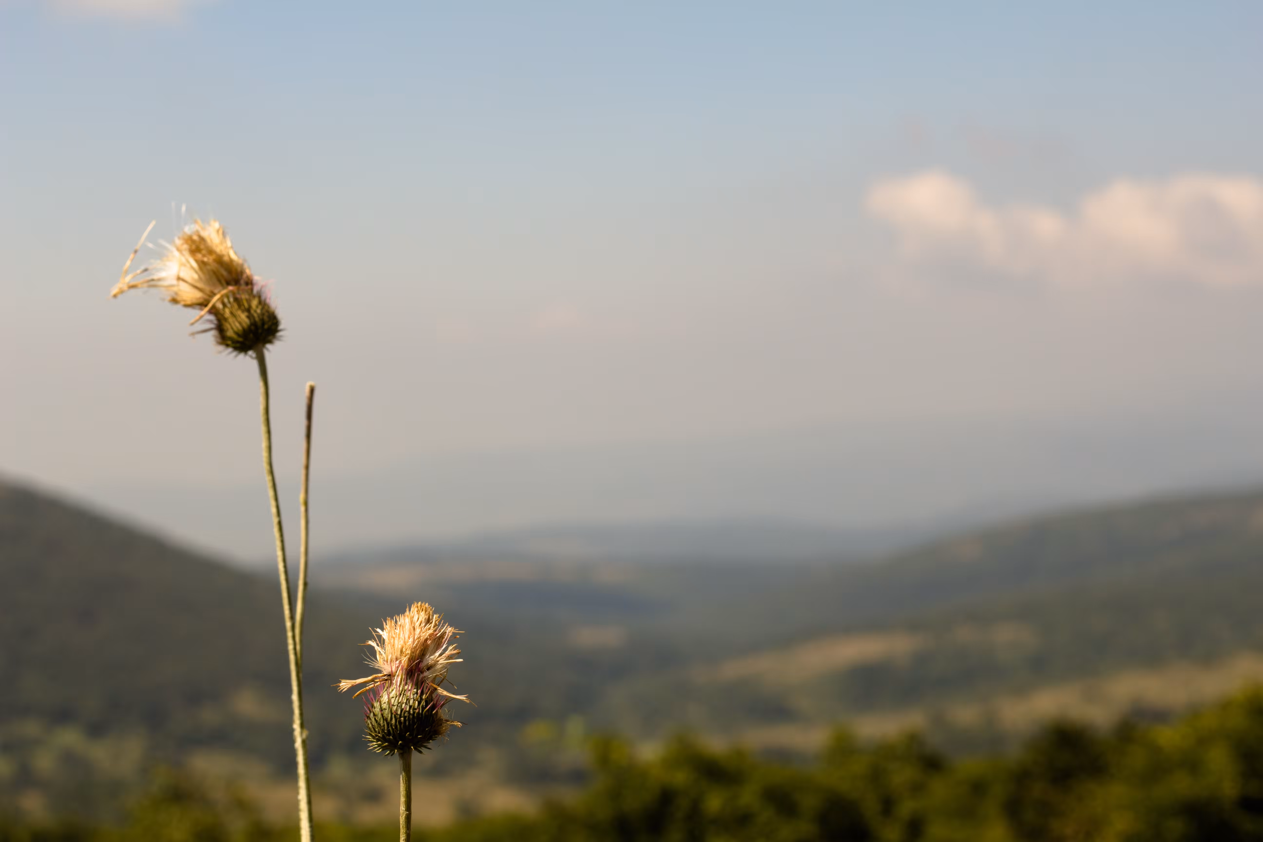 rtanj serbia