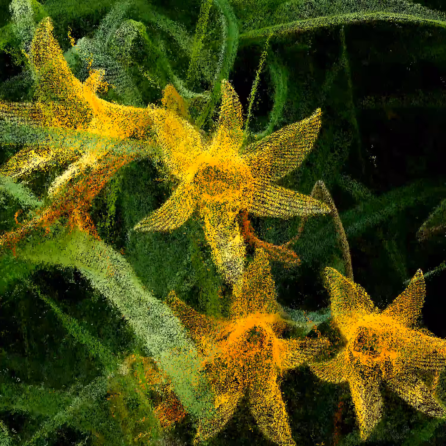 Yellow Daylillies [NFT version]