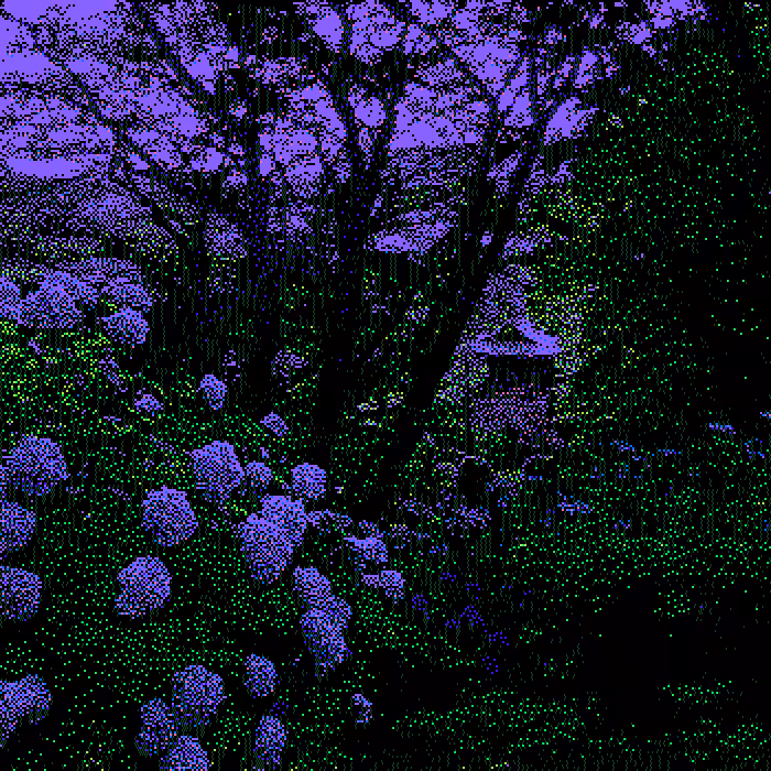 purple day パープルデー