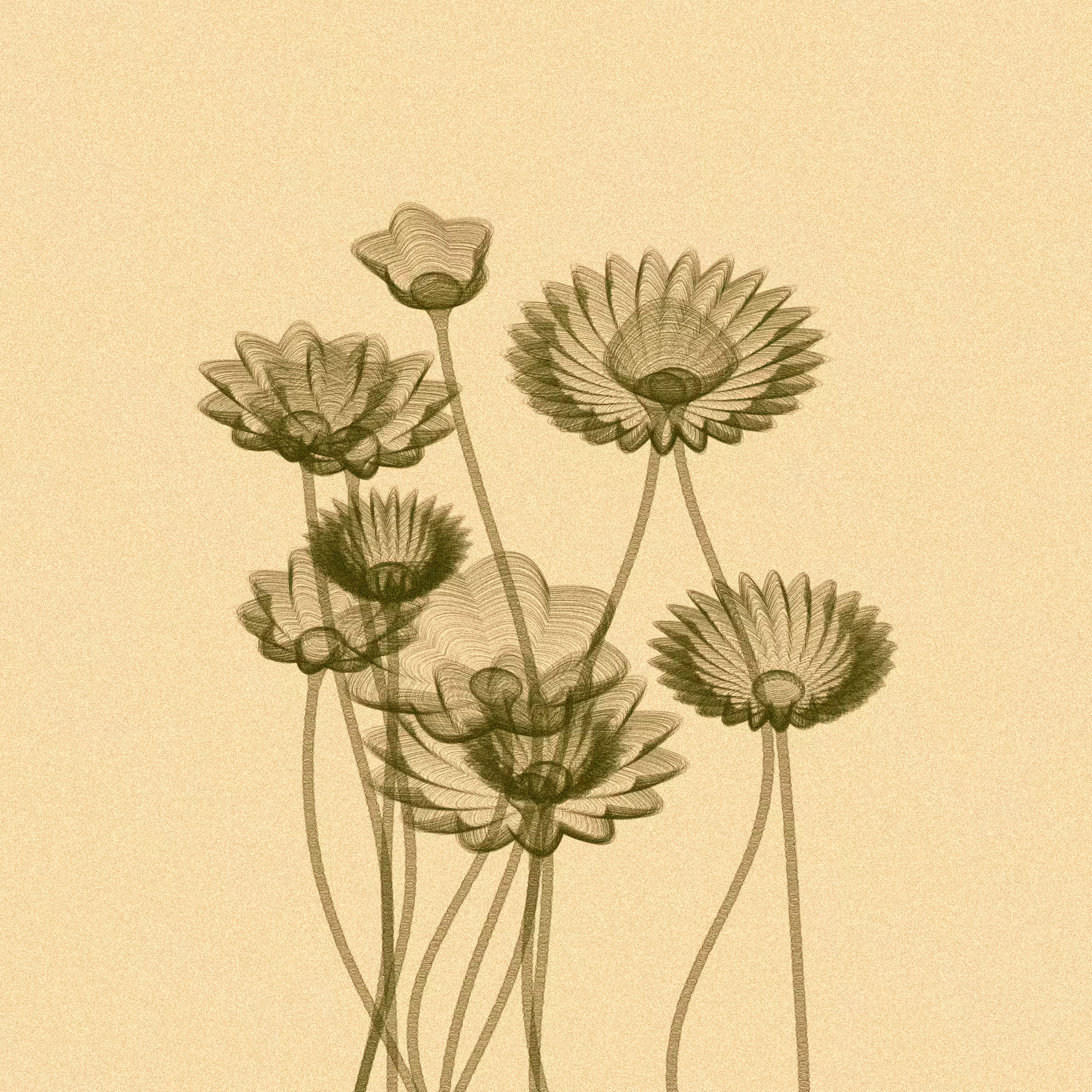 Code Flowers #85