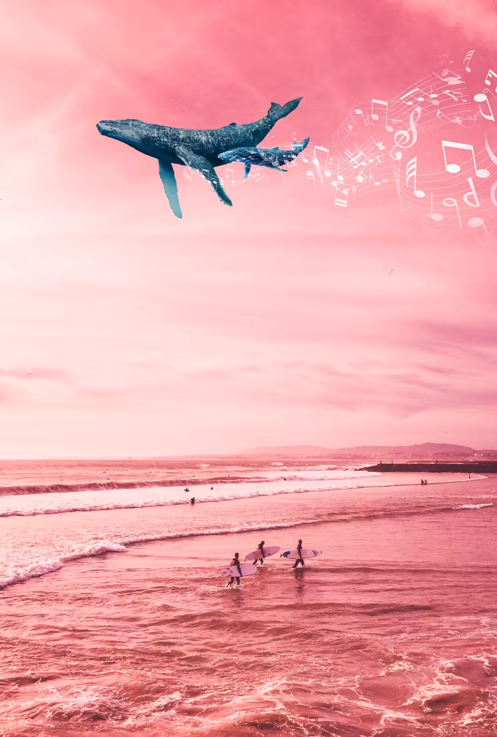 A little Whale Music