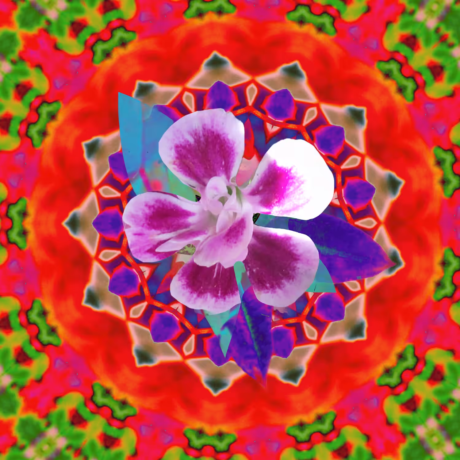 contemplation of a flower 2