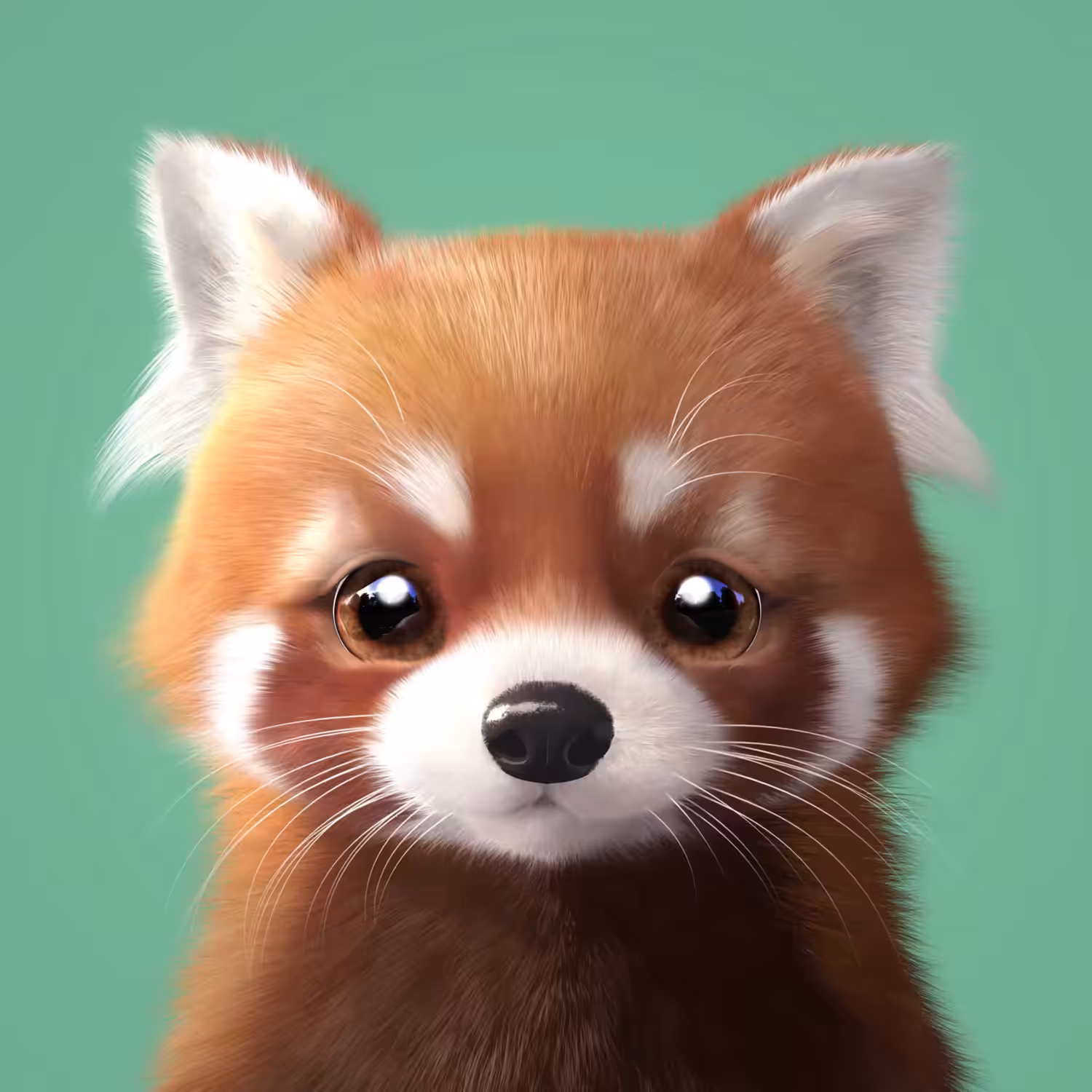 Lesser Panda — WILD #1