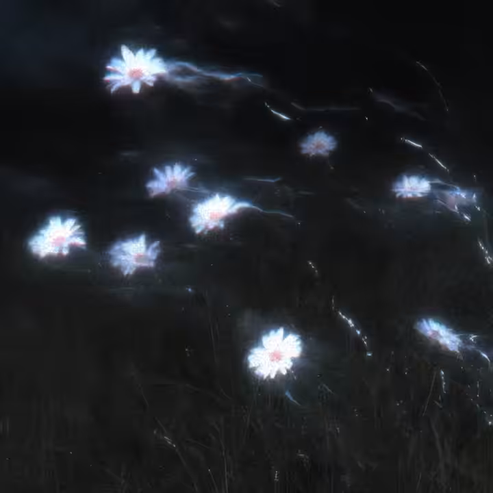 Still Returning
