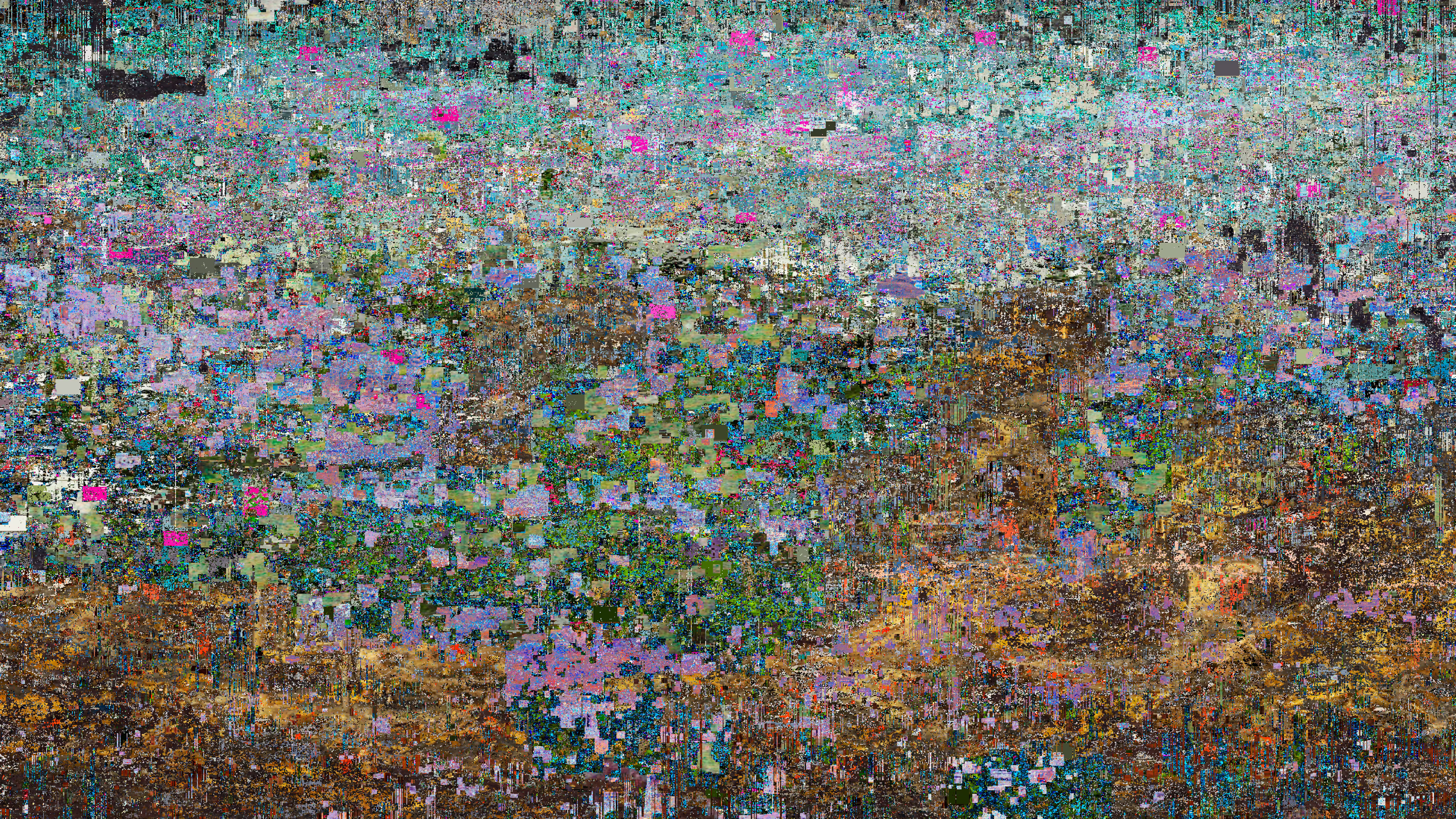 This landscape is a meadow with a wavelength of flowers in a wide variety of light