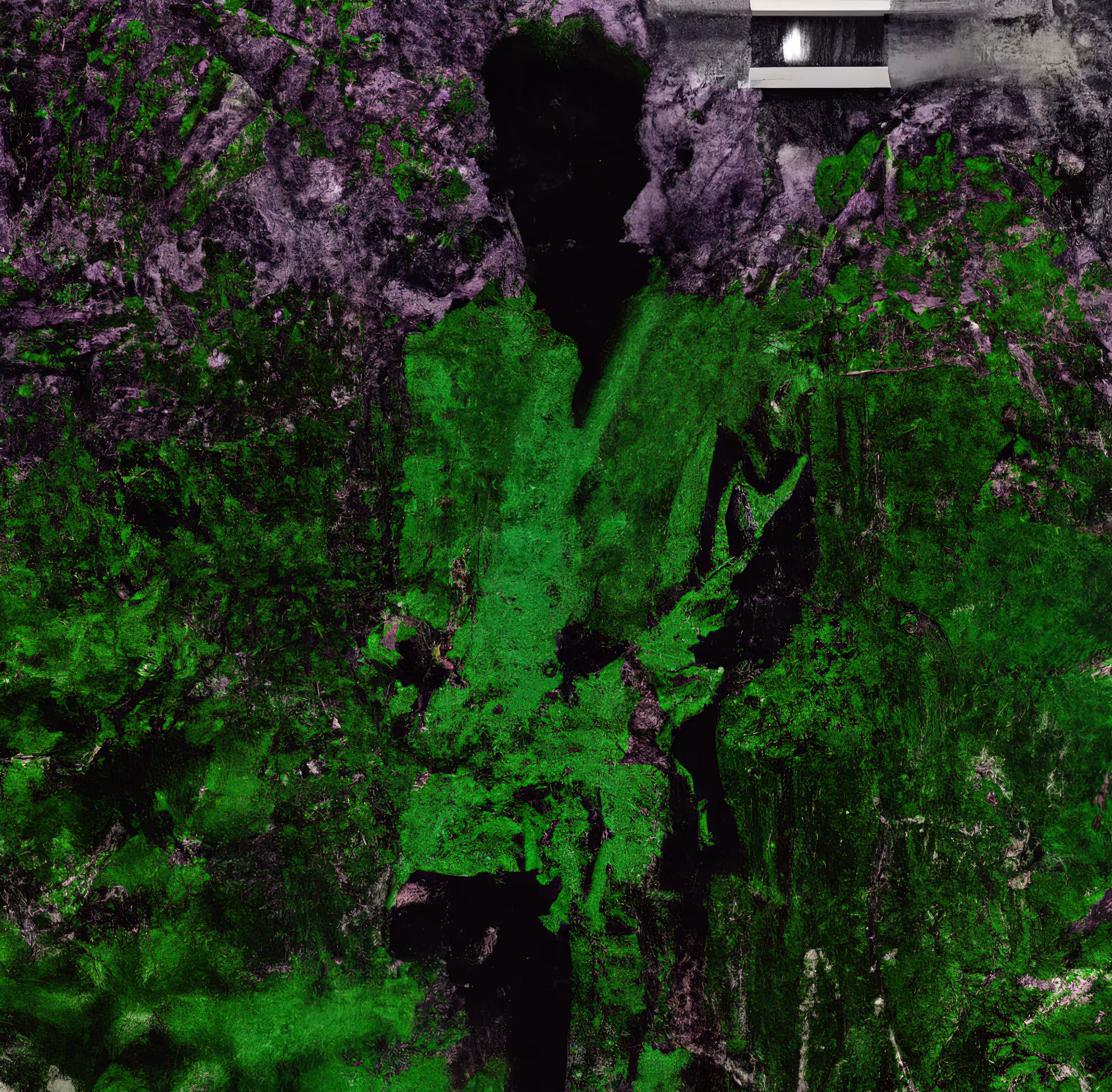 Occult