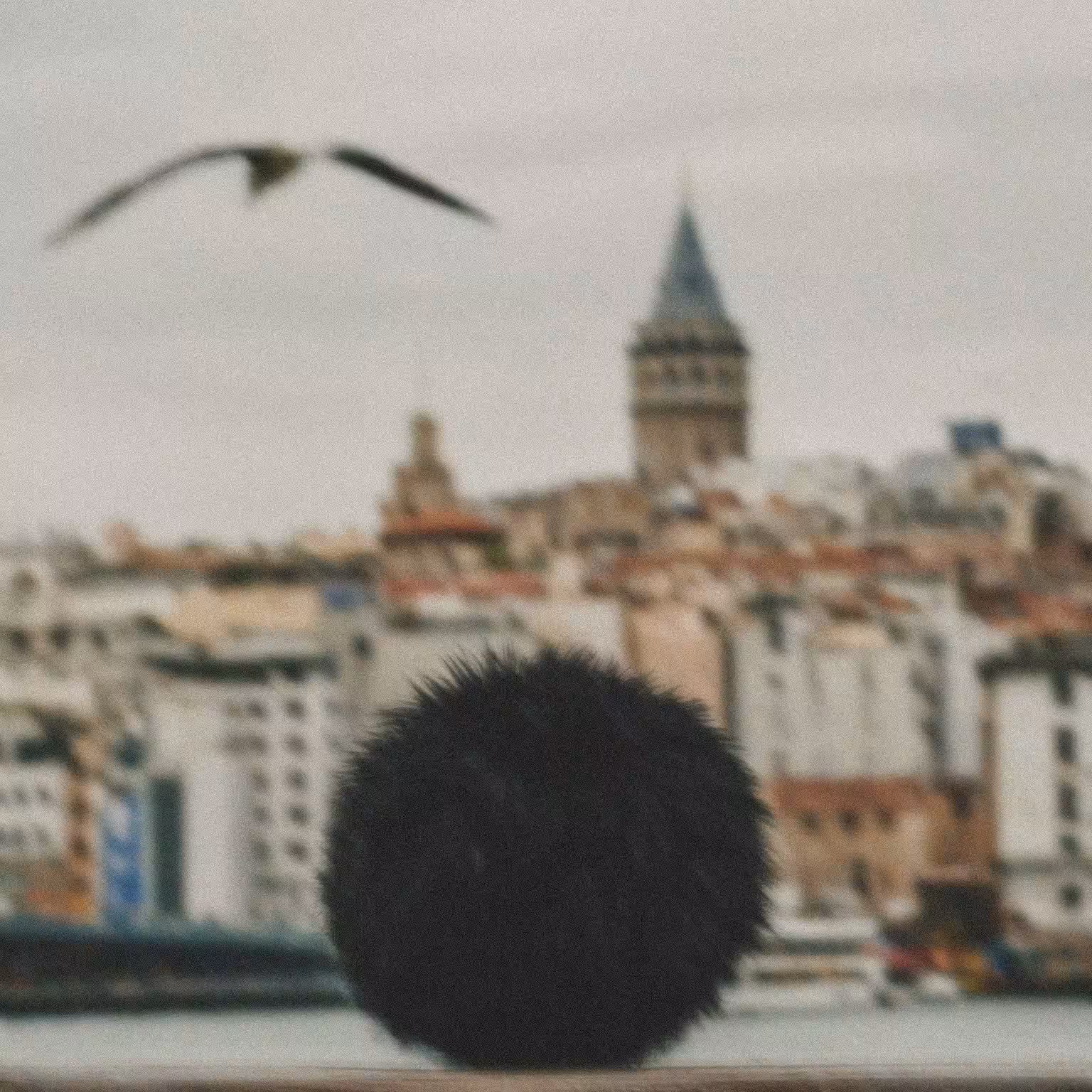Istanbul, Istanbul!