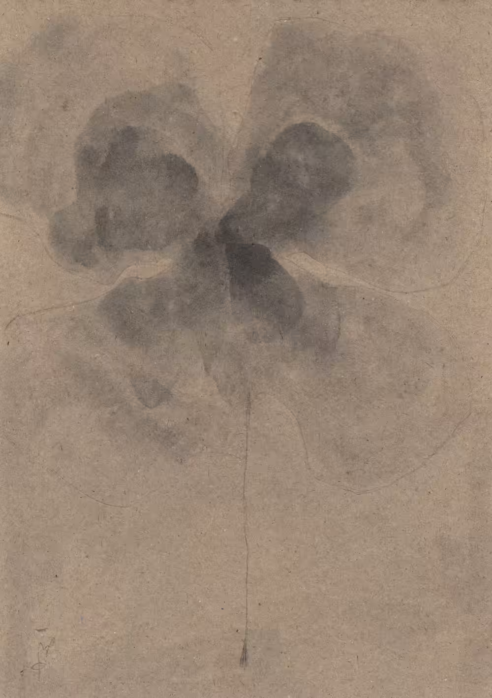 Flower No.8