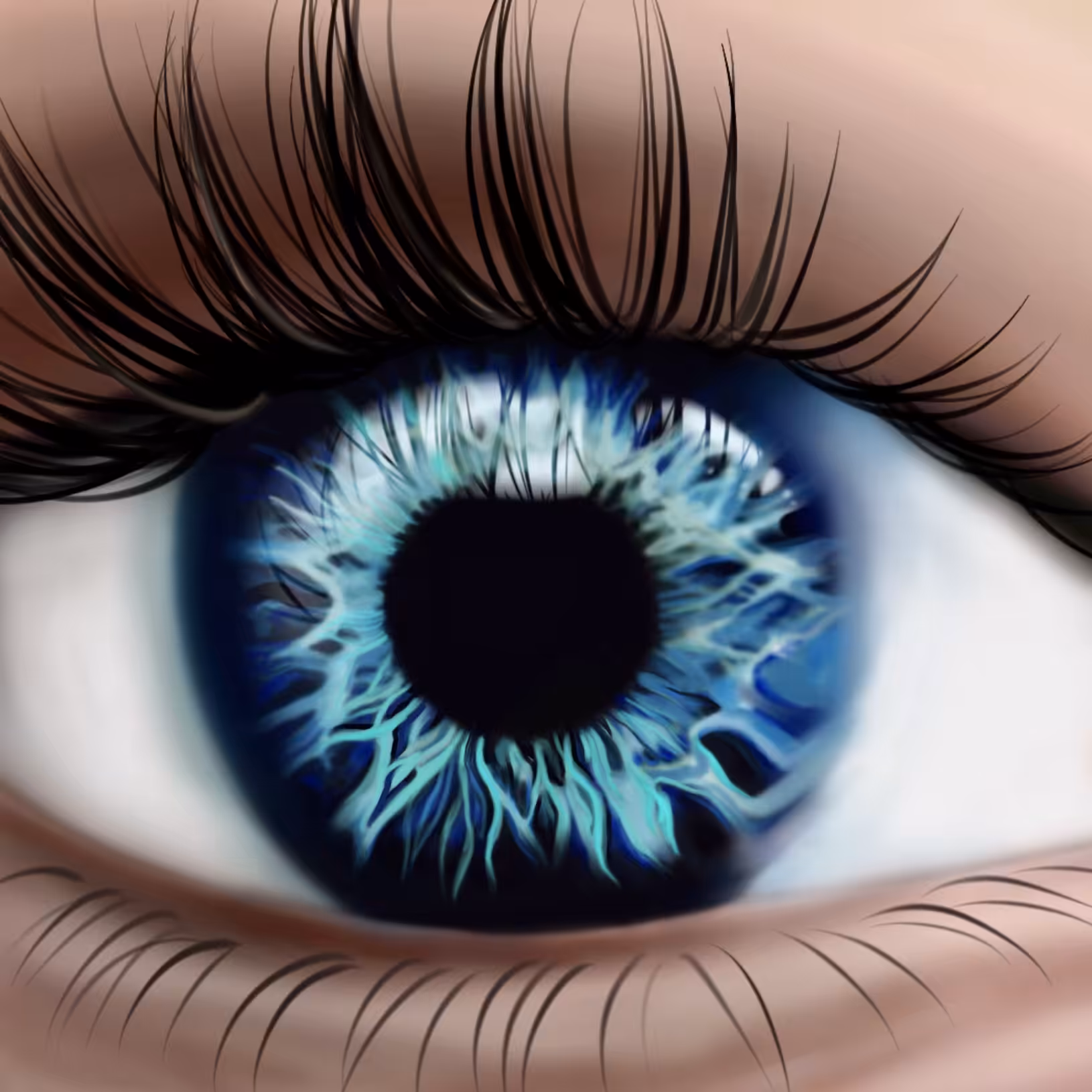 Dolphin eye
