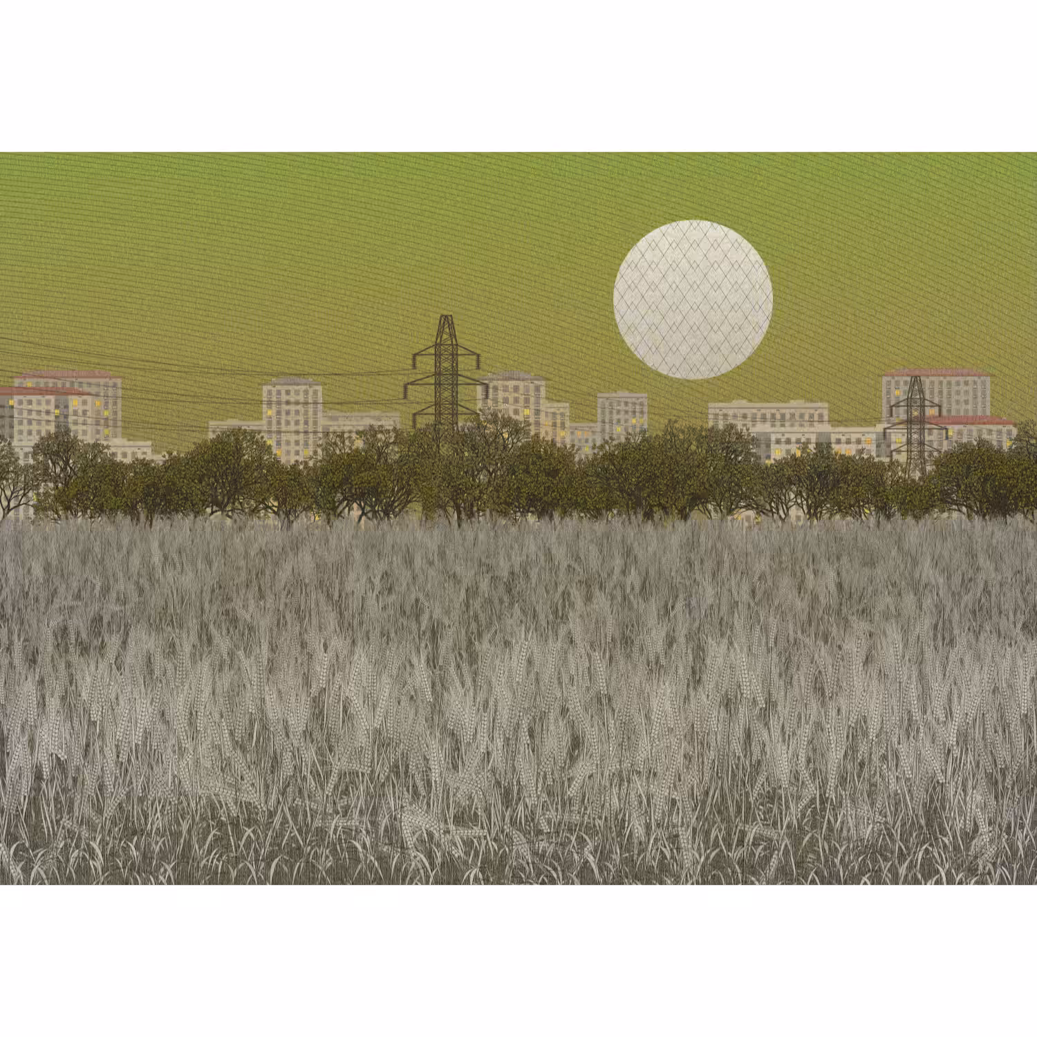 Fields of the Abandoned Homeland #56