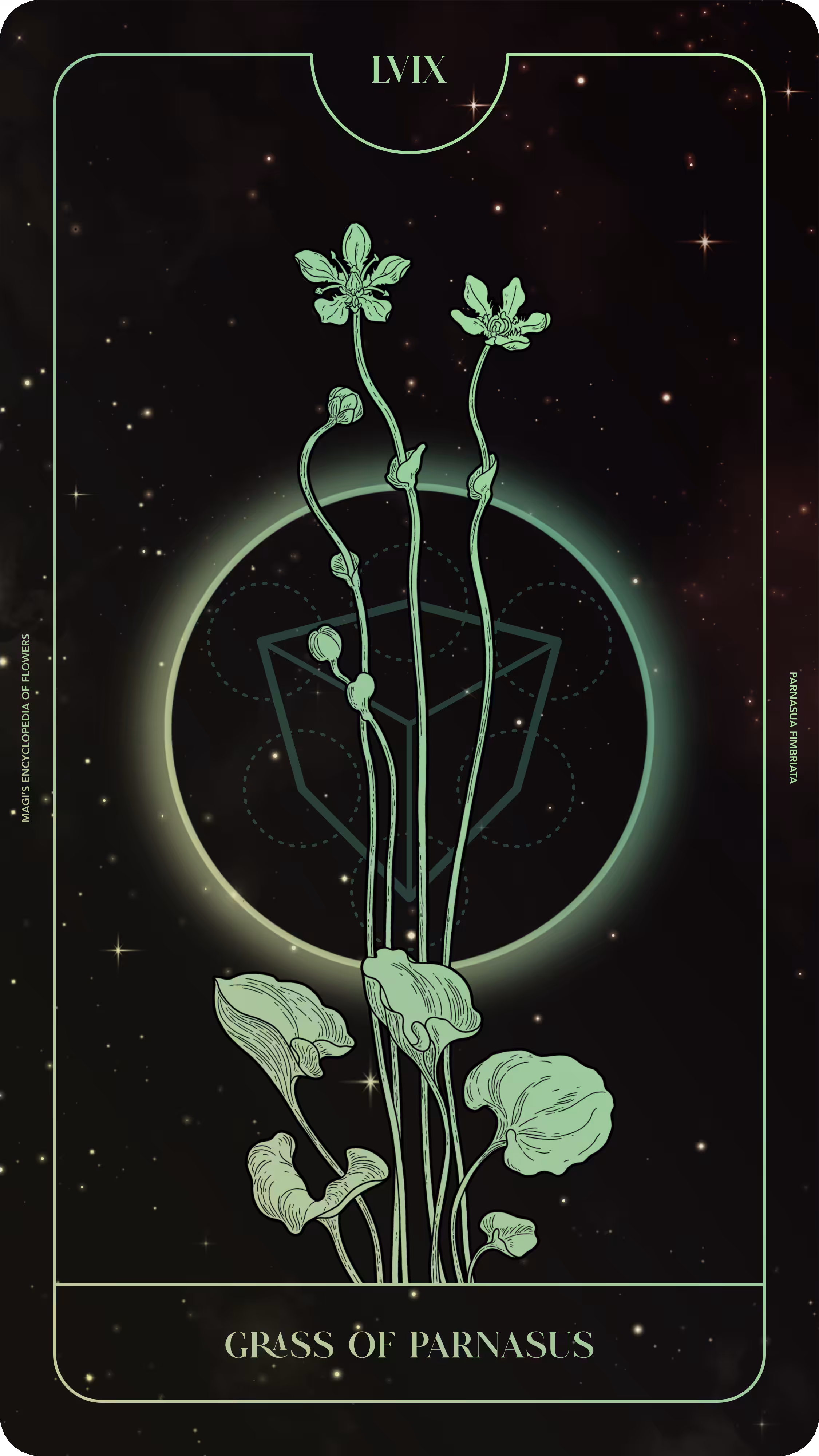 059 Grass of Parnasus 