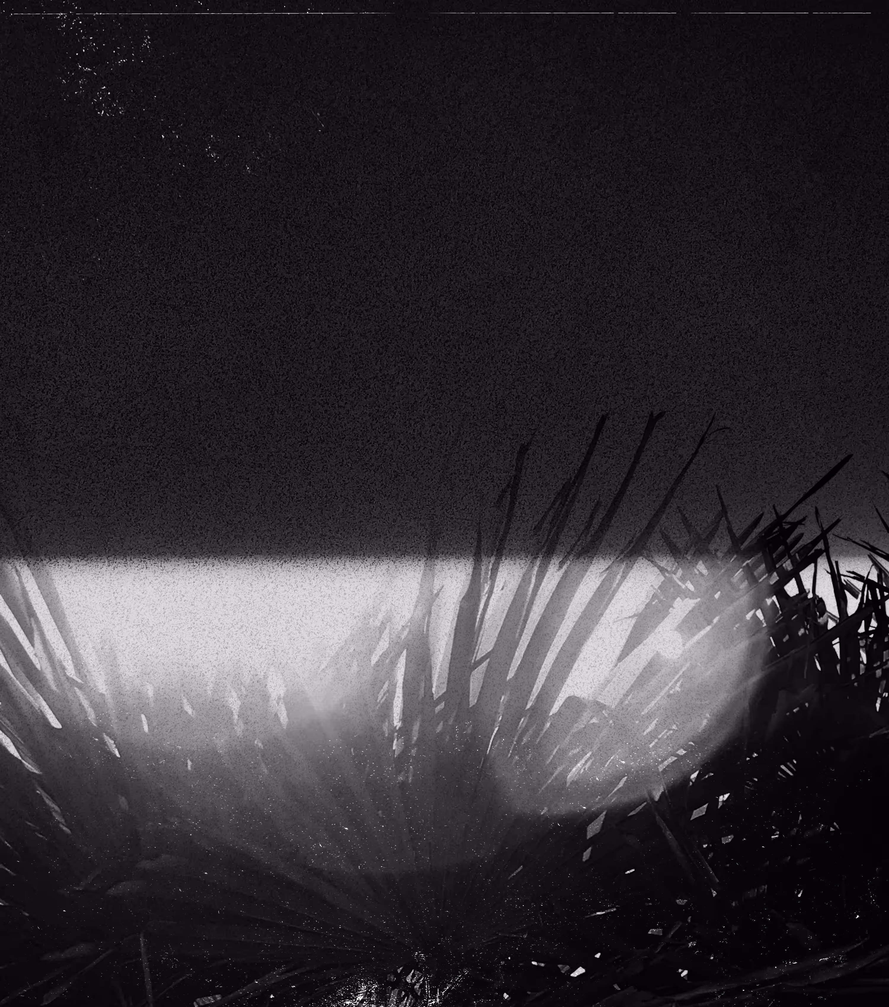 Blinding Light