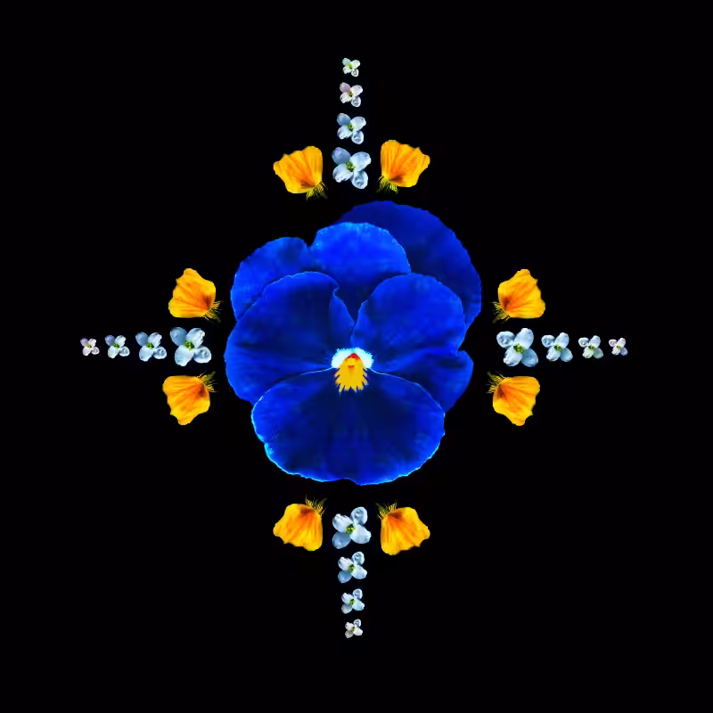 CANCER -the star-