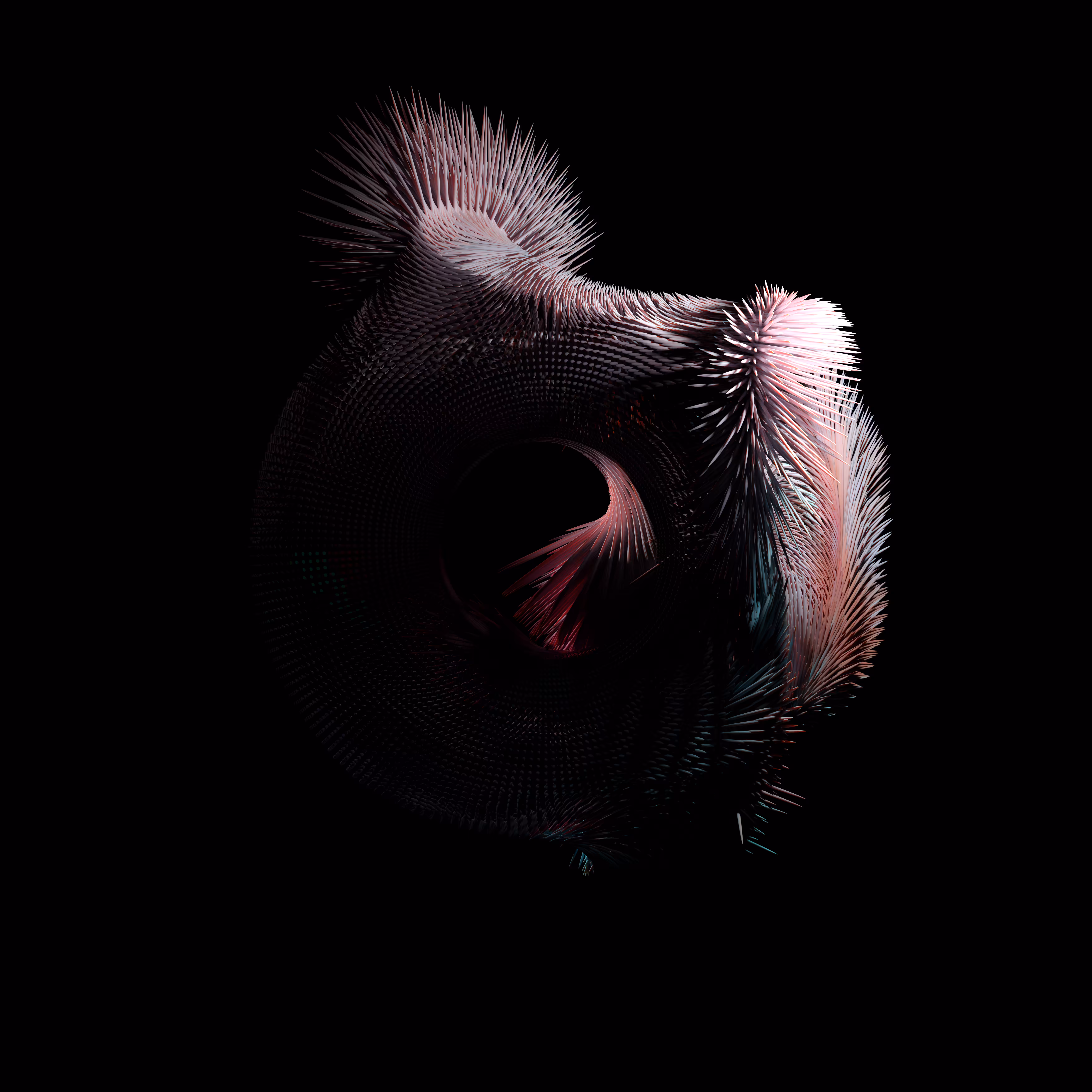 Donut 4