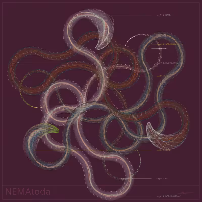 NEMA #69