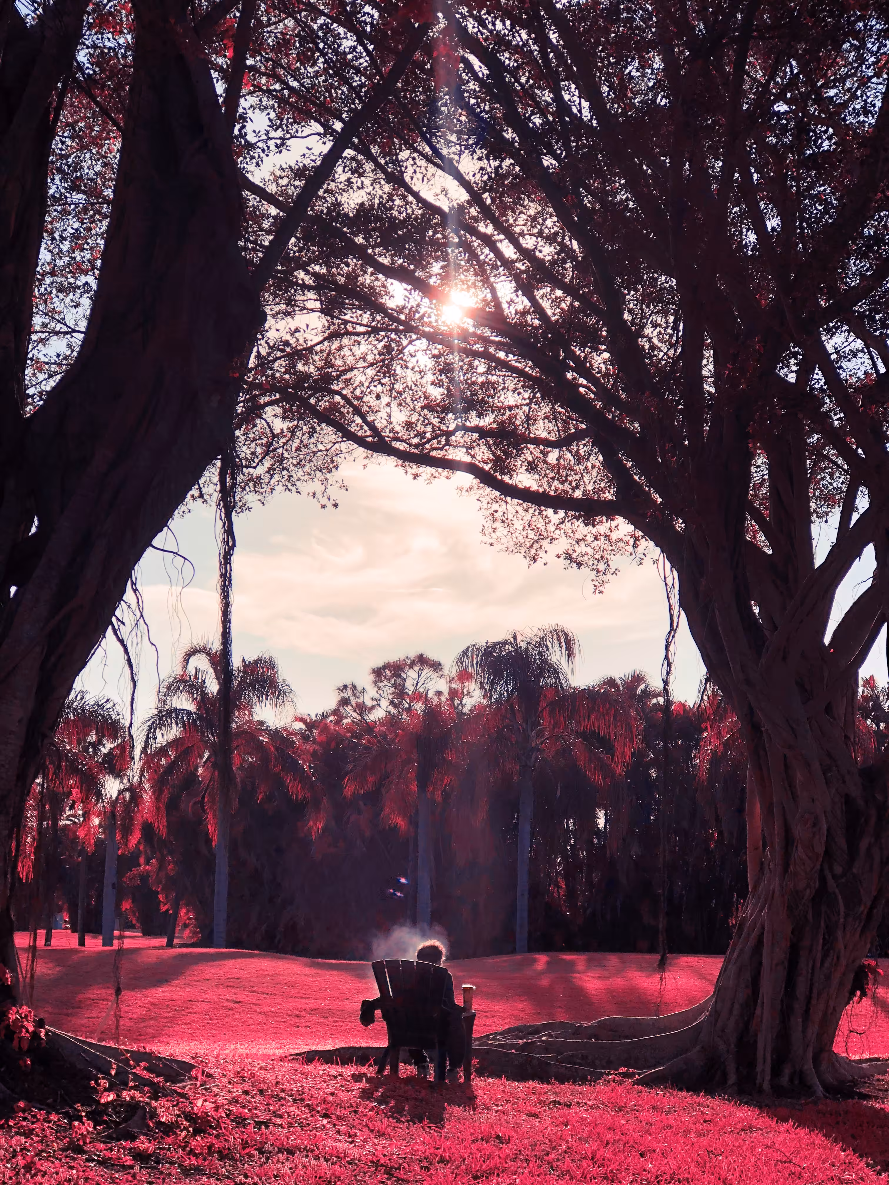 RED #3