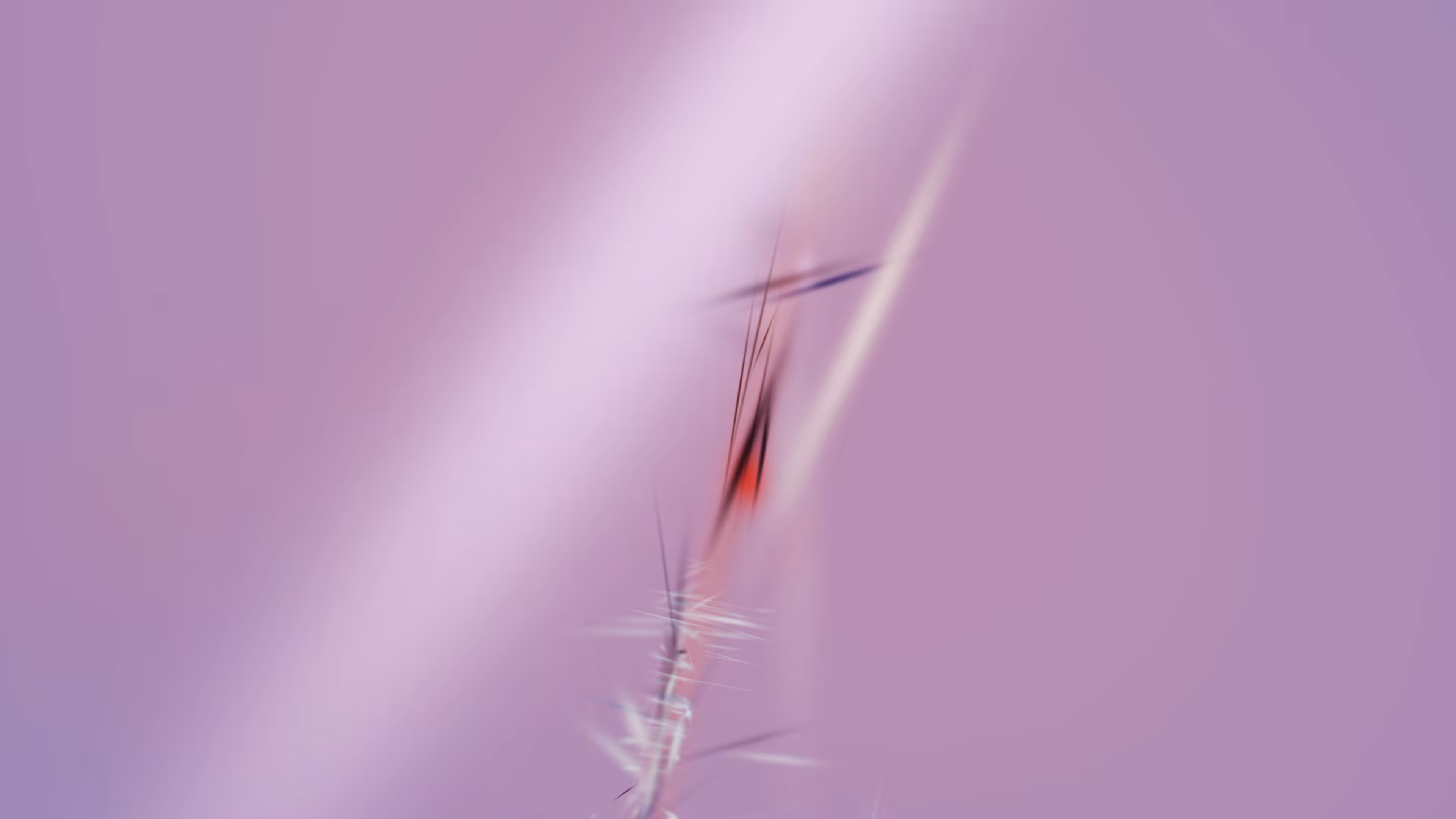 Gaussian Splat Painting 5