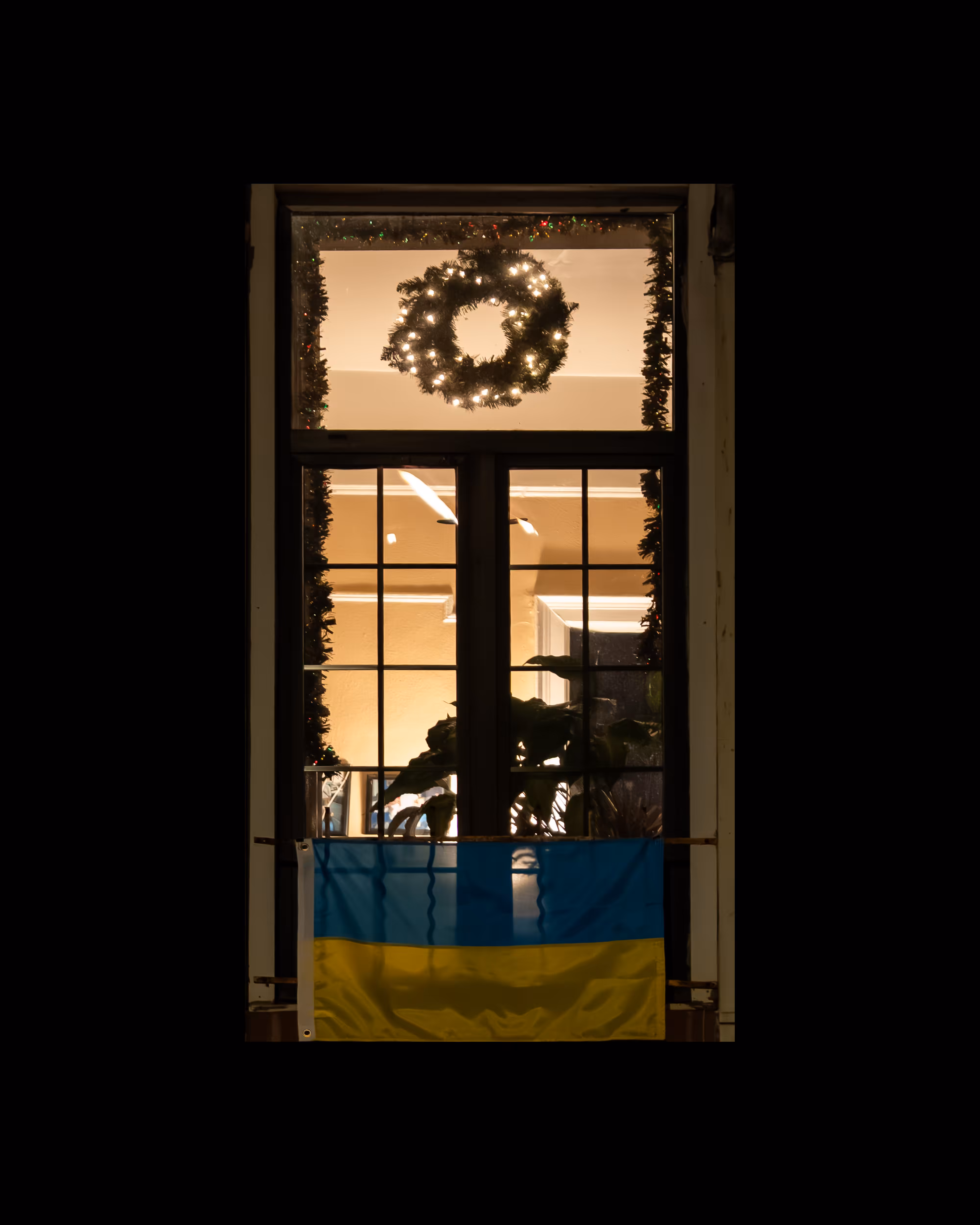 WINDOW 594