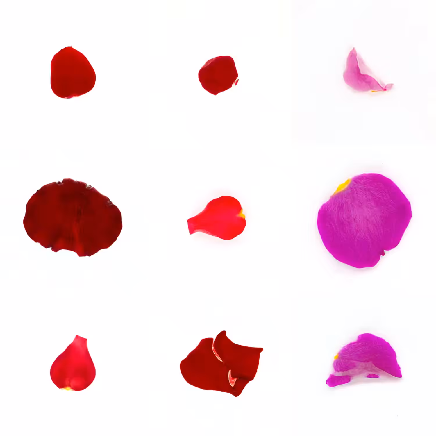Infinite Petals 3x3#3241