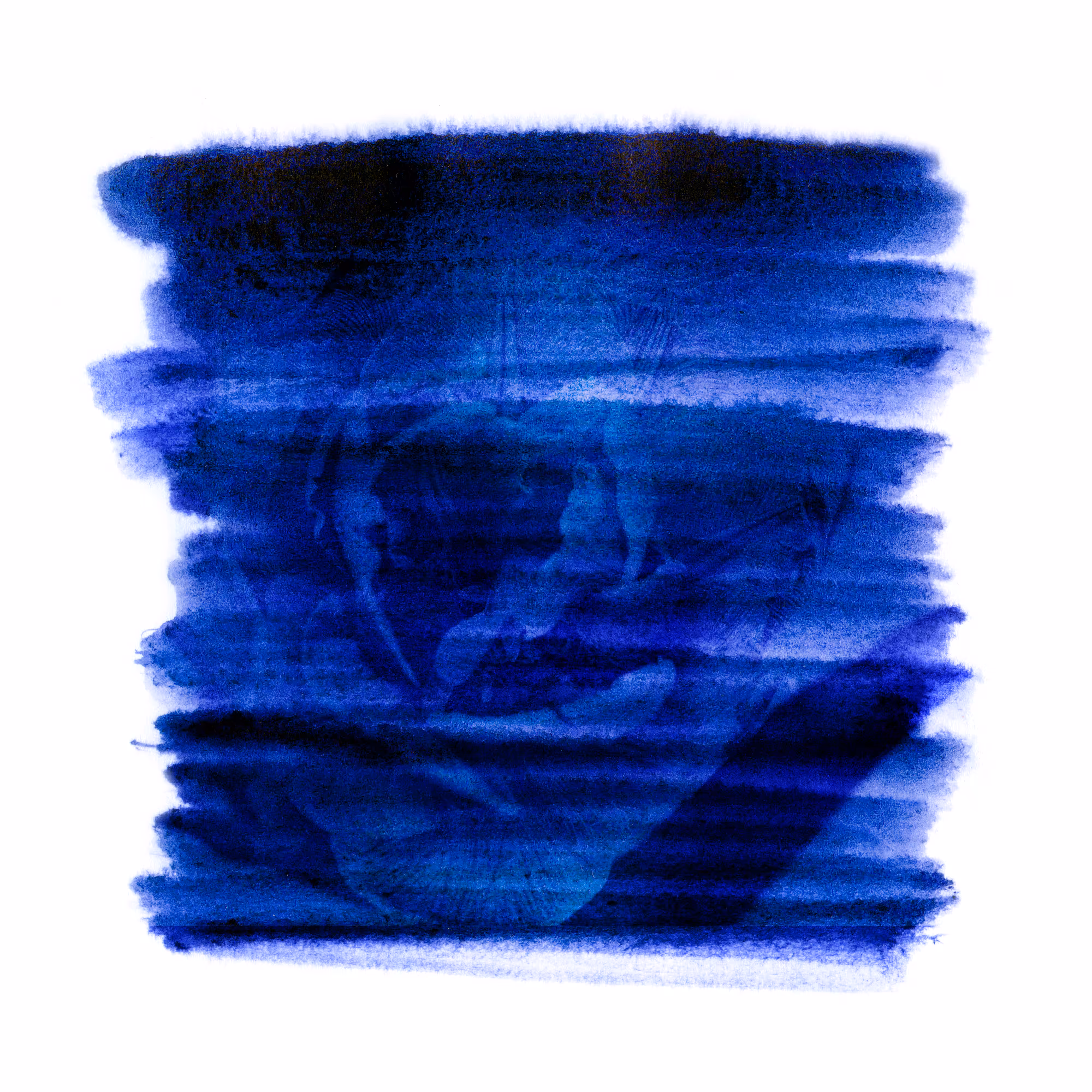 Blues garden #16