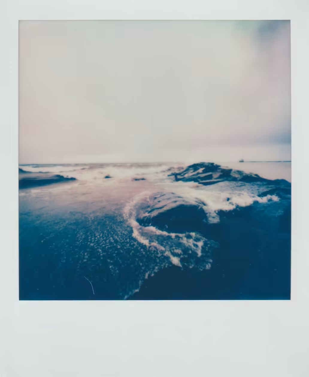 Polaroid 003