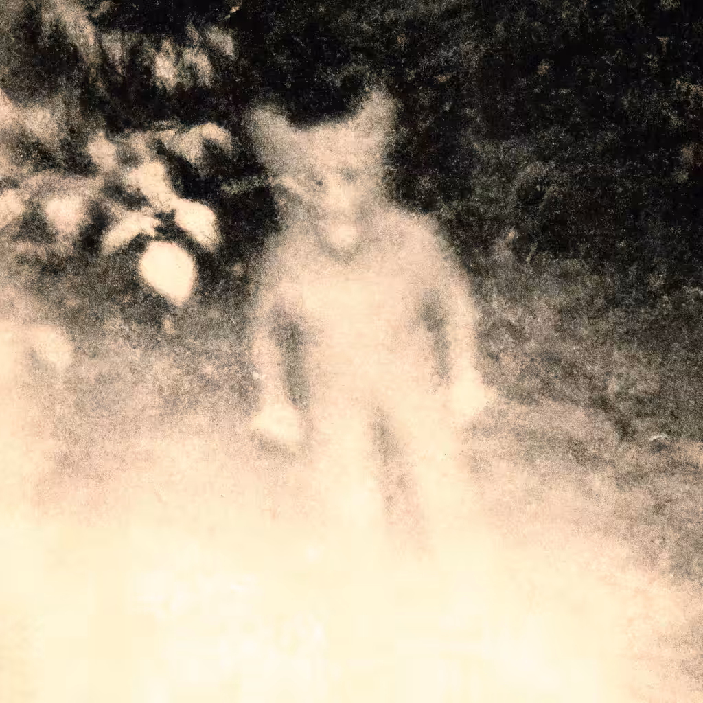 Unexplained #4