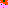 hamtaro