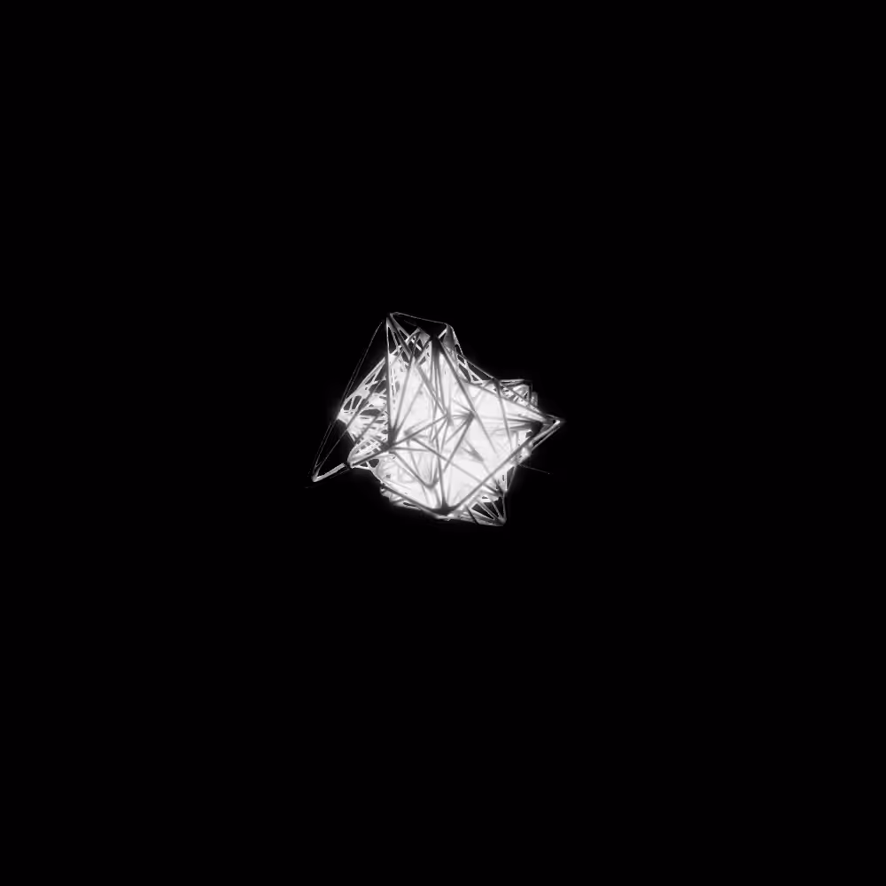 Morphogen #2