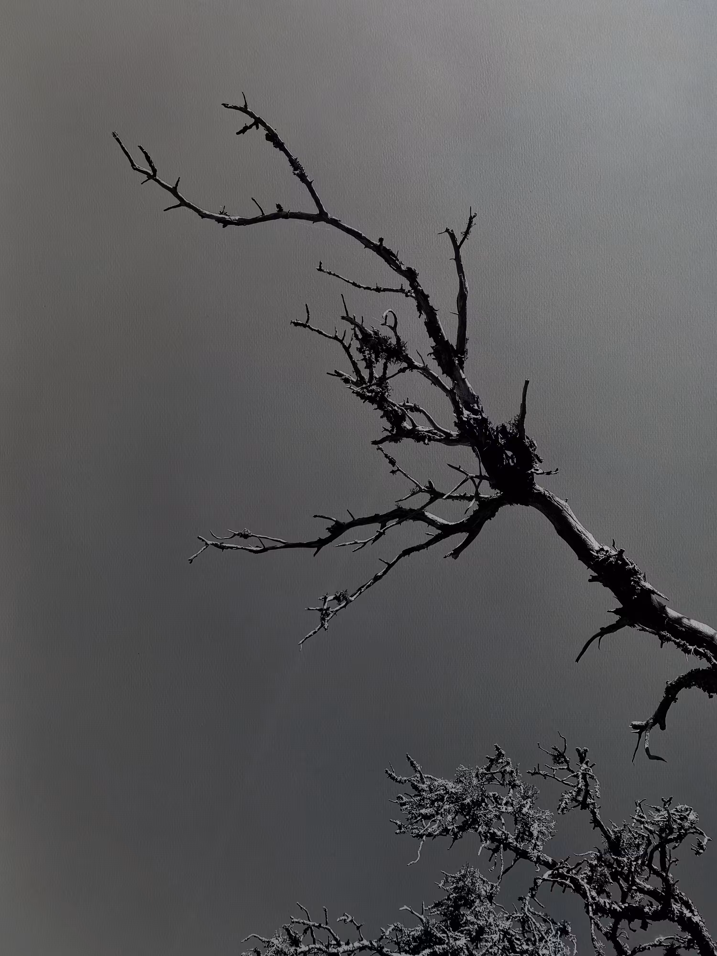 Reaching