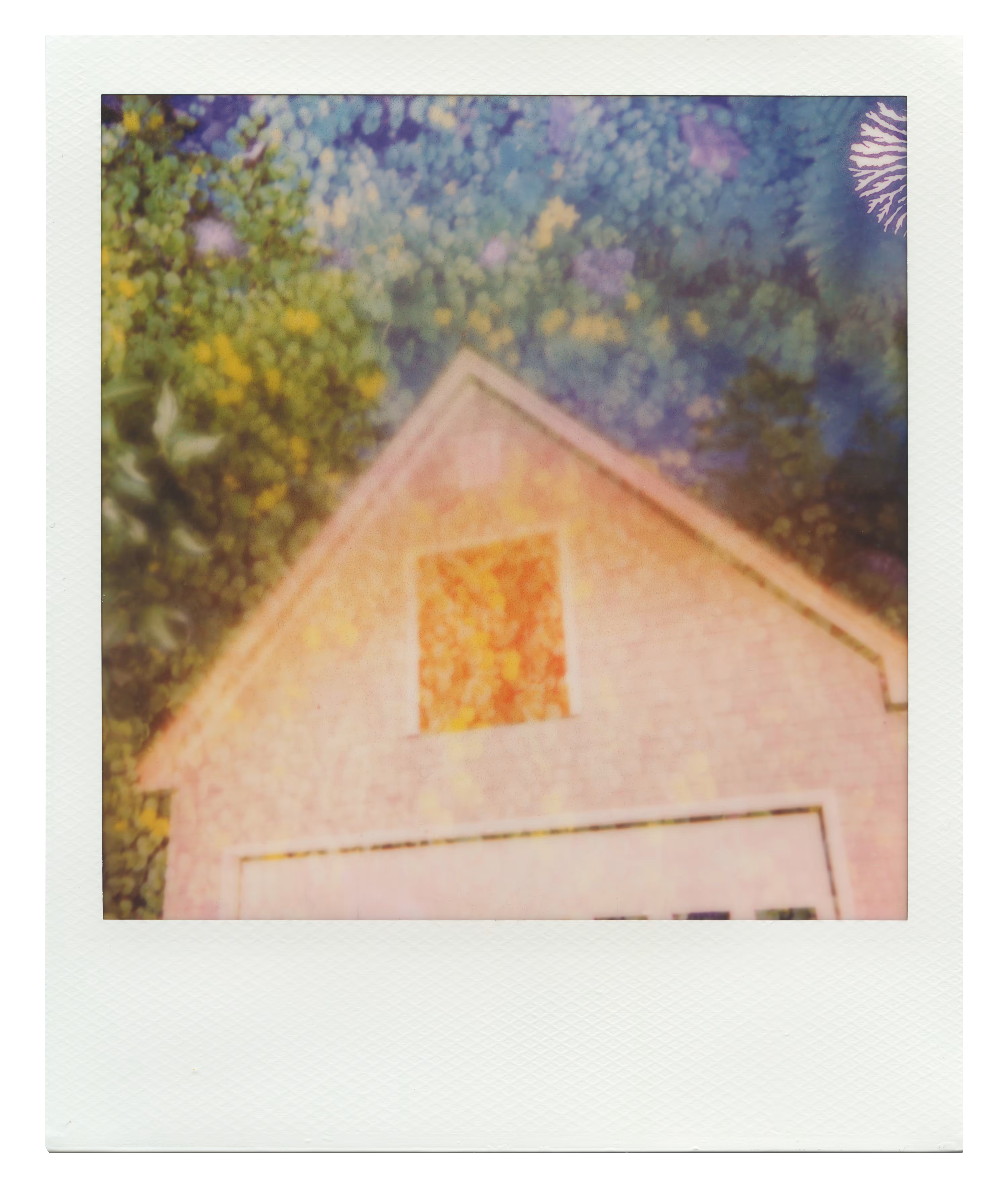 Endless Summer  |  36  | Manifestation