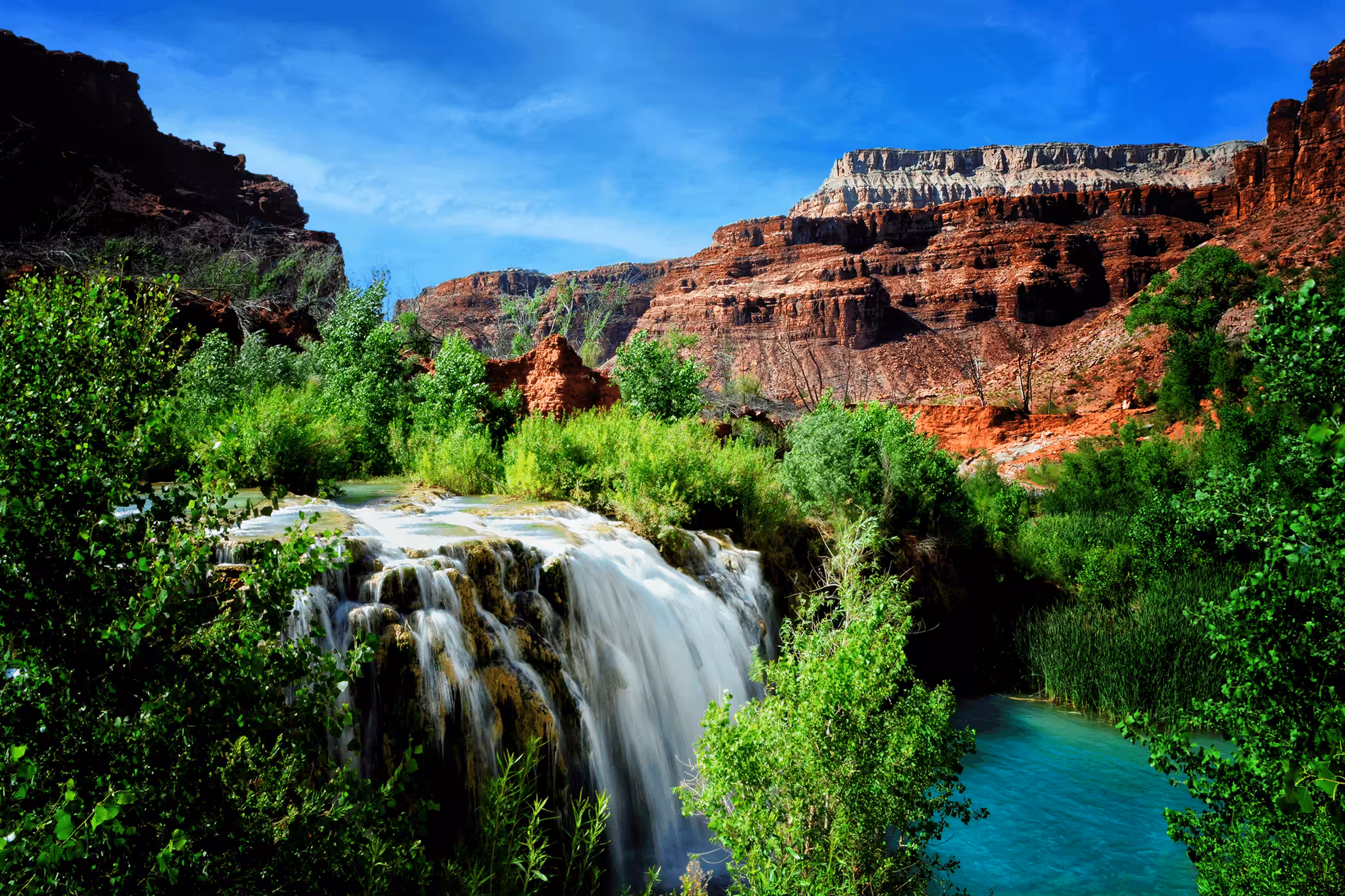Healing Oasis