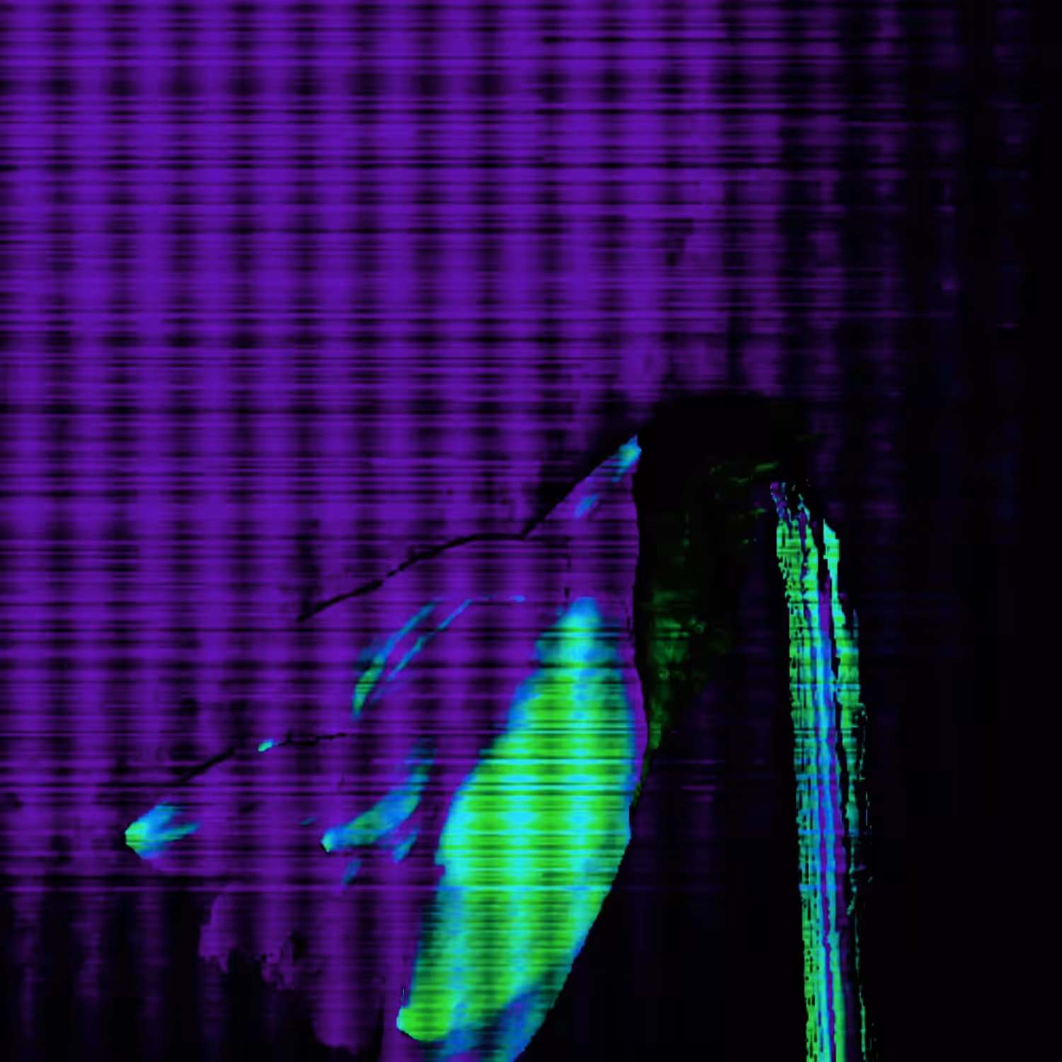 In The Screen I Am Everything