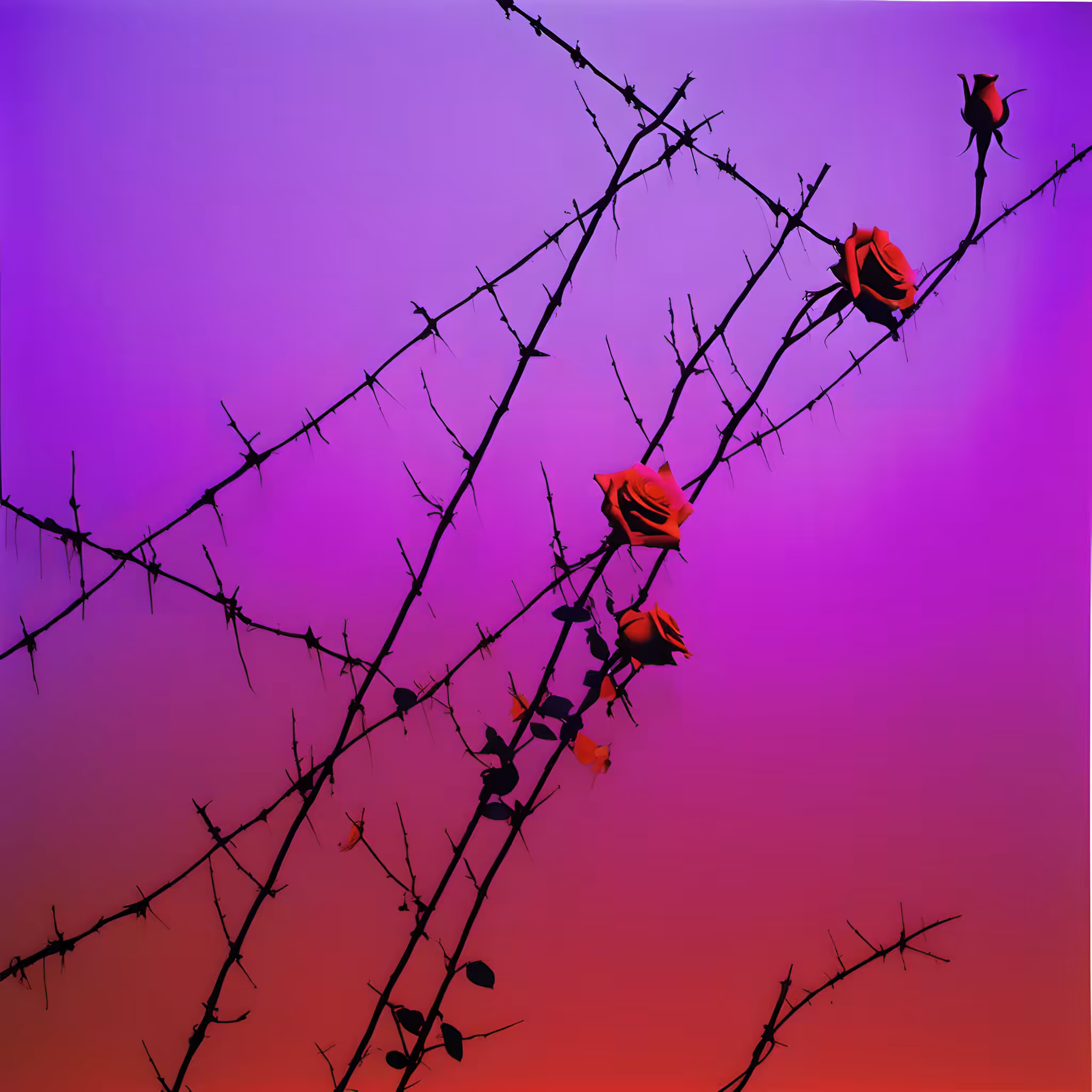 Between the hurricane and the wind #77