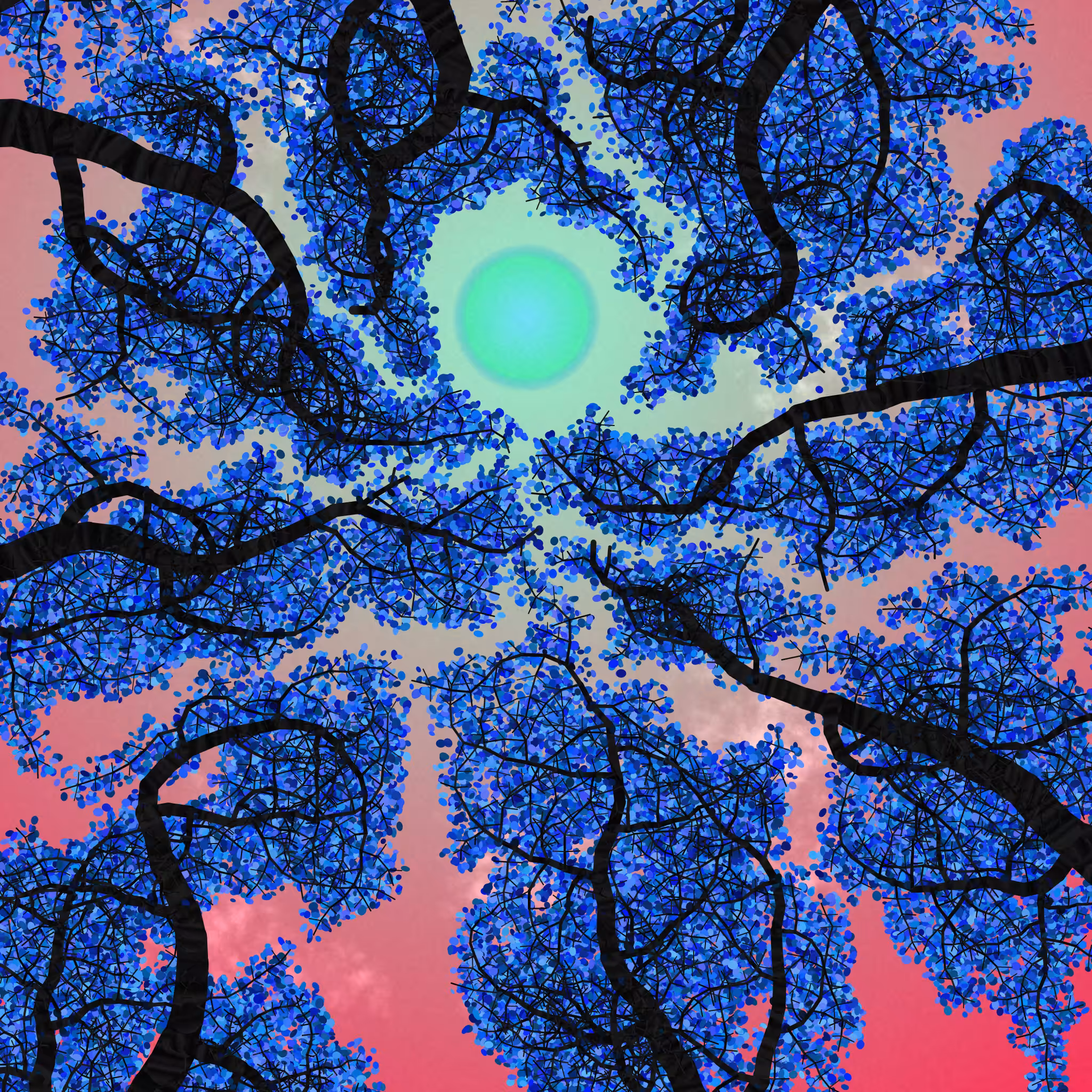 Tree Skyness #219