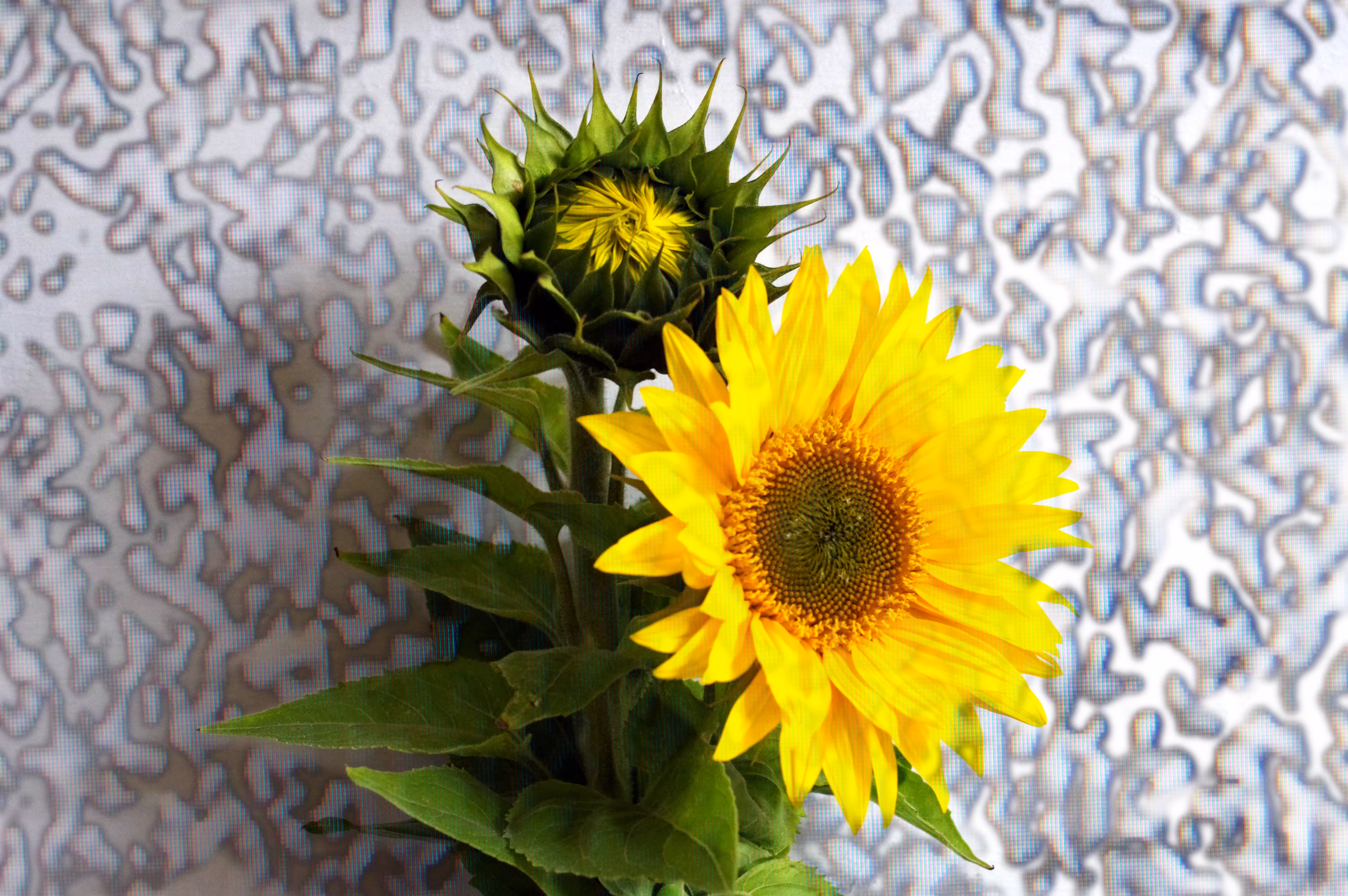 Sun Impactflower #5 : Production
