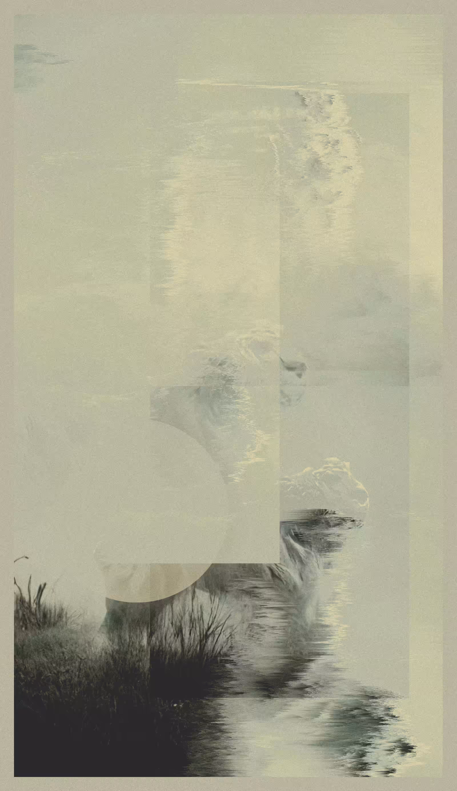 #195